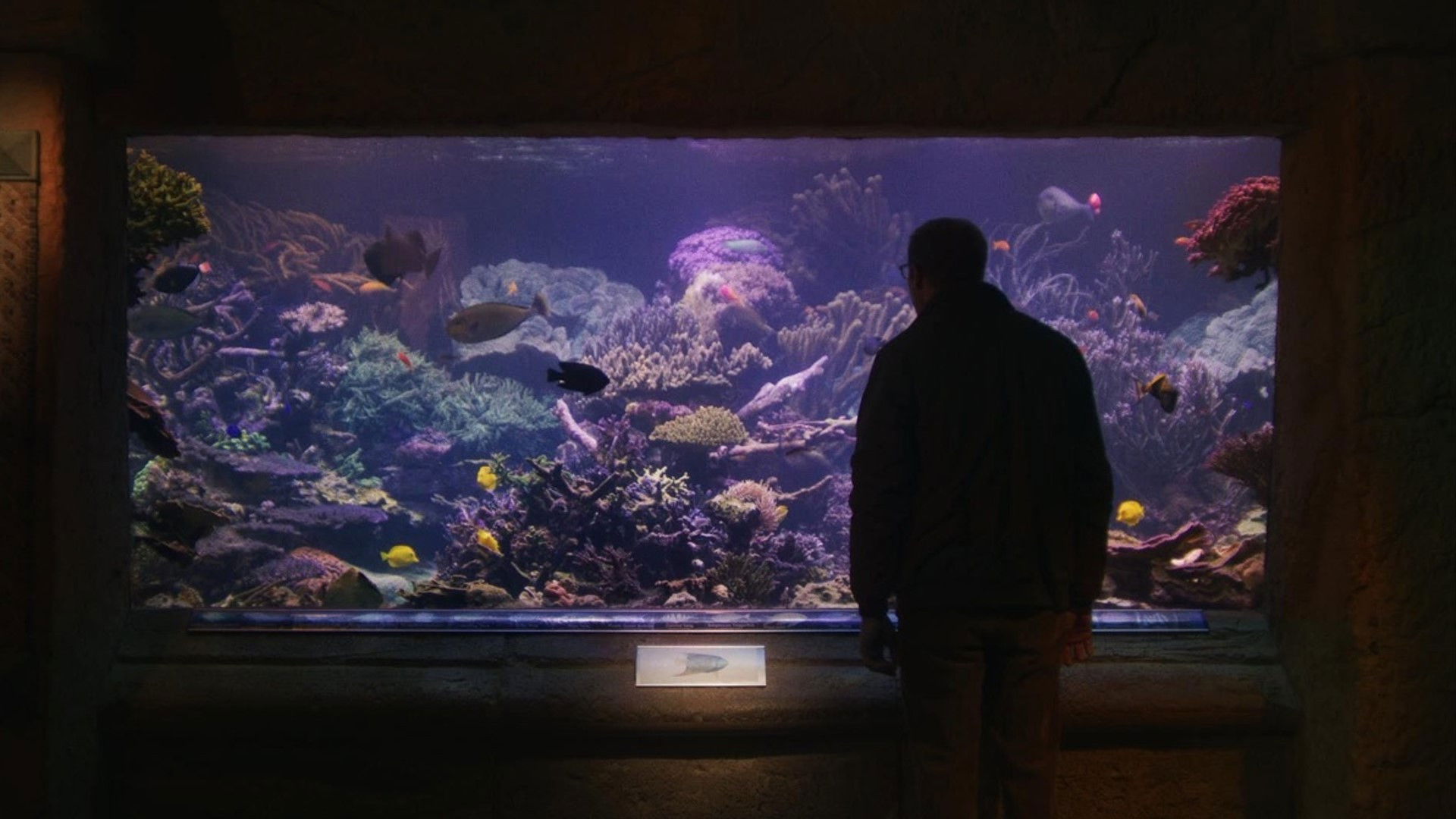 Backdrop for Relaxing Old Footage With Joe Pera