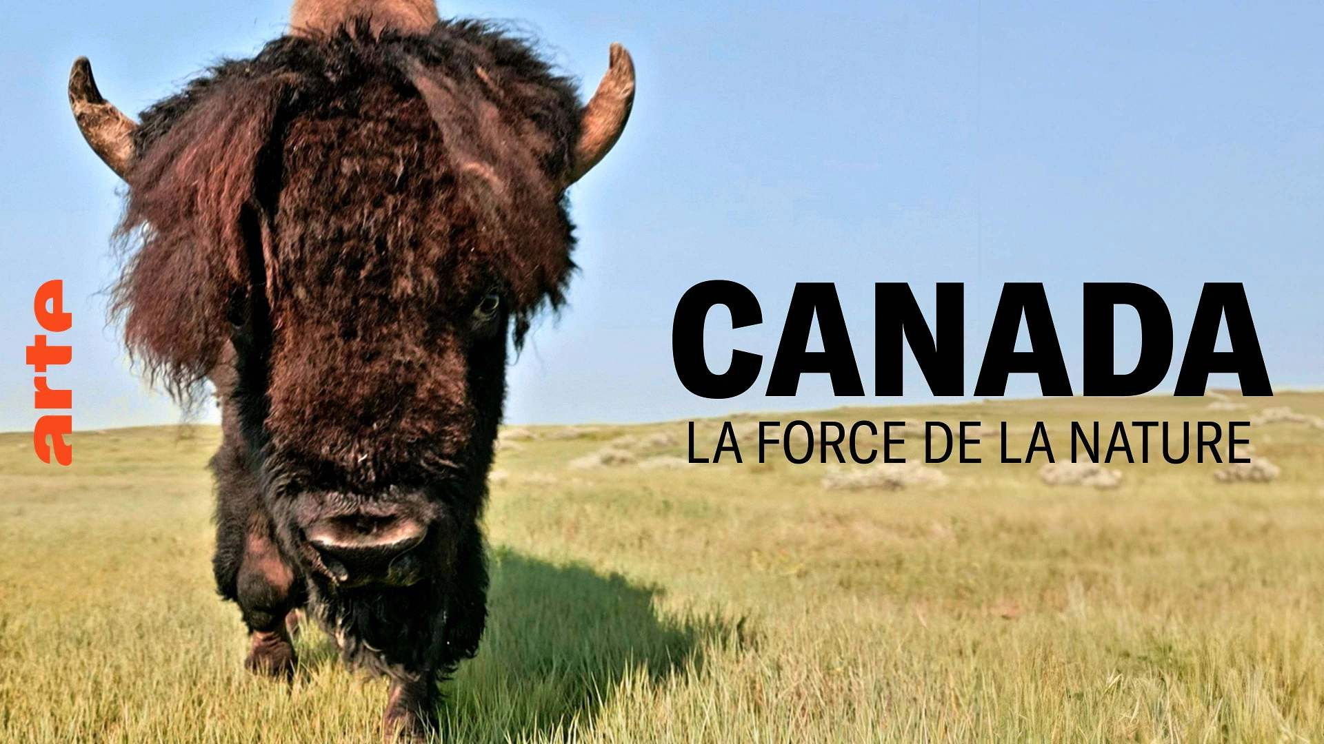 Backdrop for Canada, la force de la nature