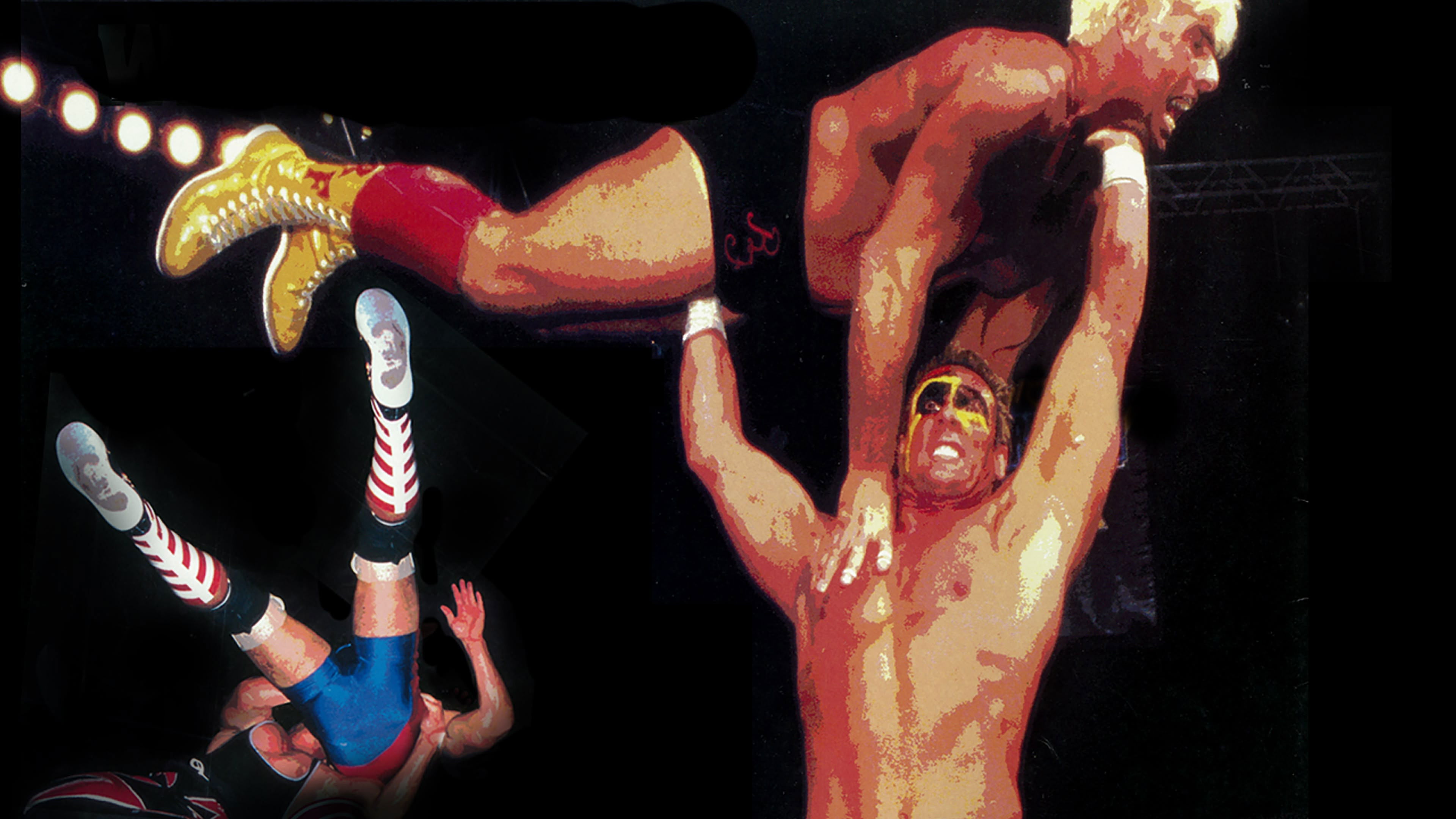 Backdrop for WCW Slamboree 1996