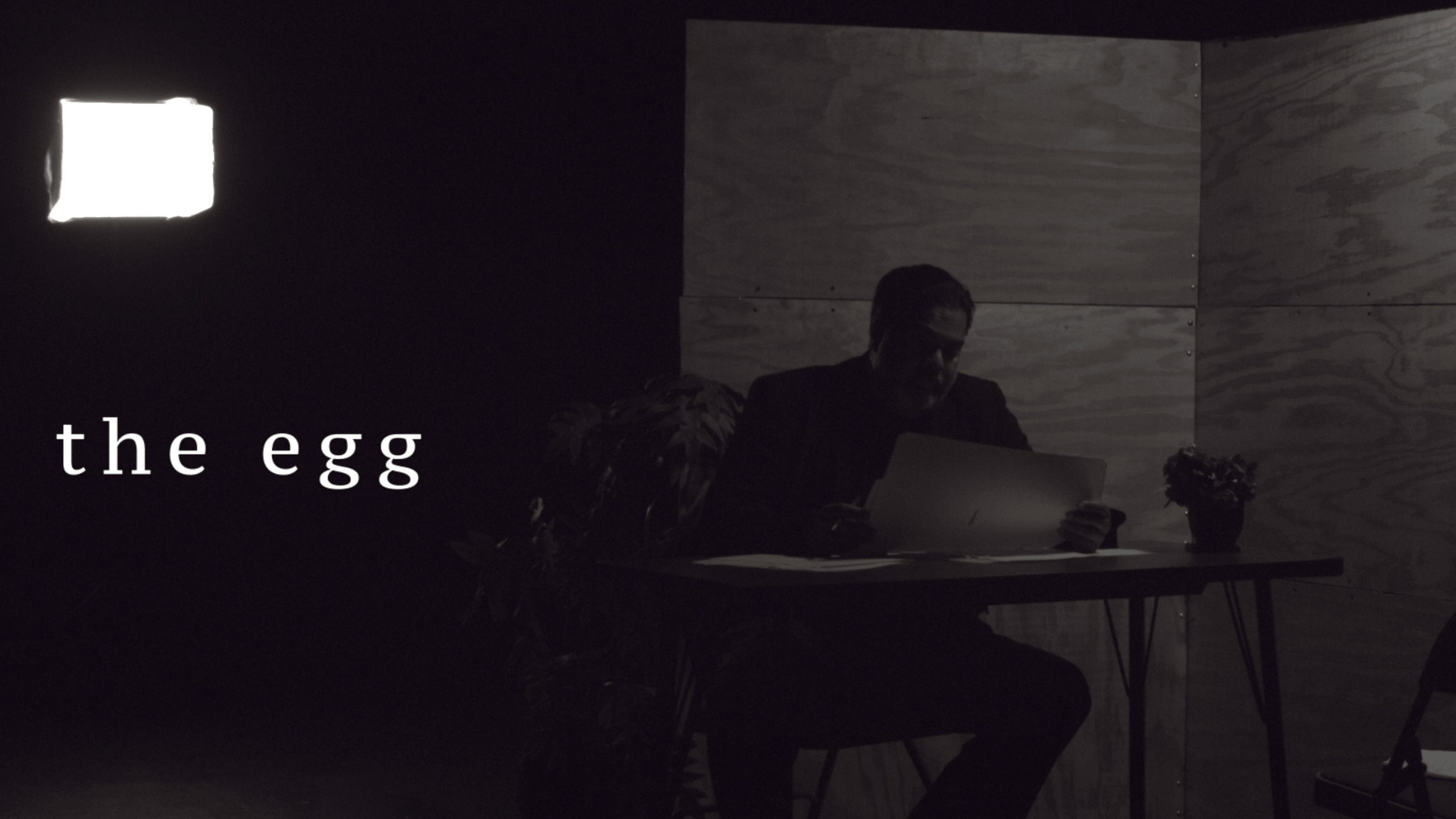 Backdrop for The Egg