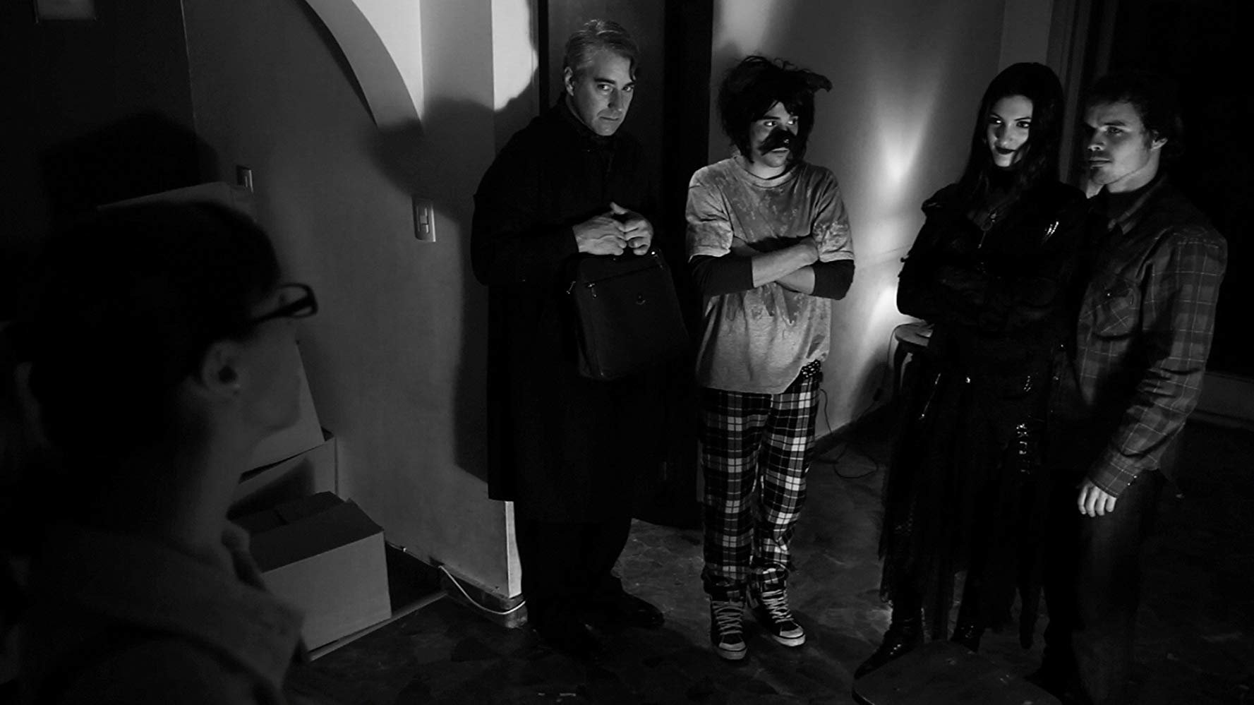 Backdrop for The Night of the Chihuaua