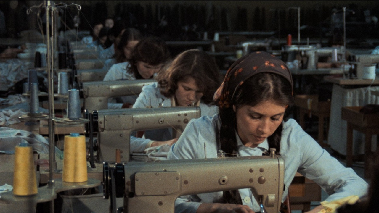 Backdrop for Black Head