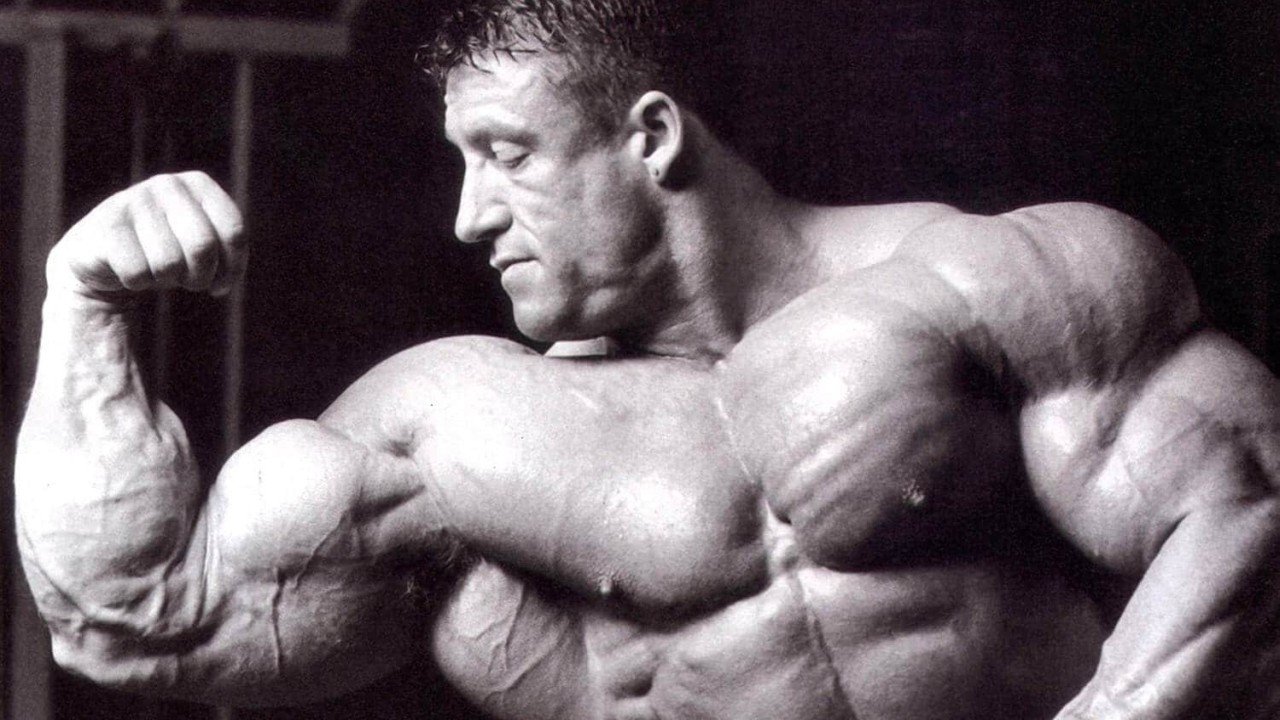 Backdrop for Blood & Guts