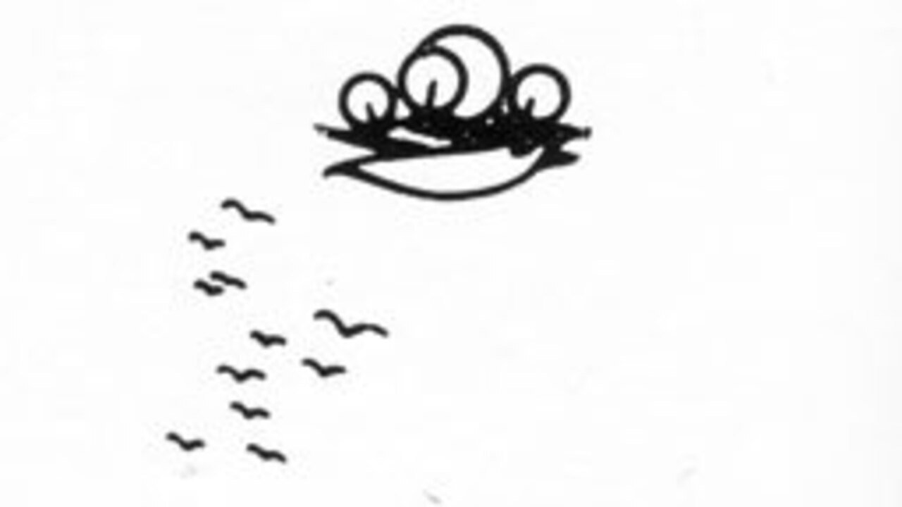 Backdrop for Gô among the birds