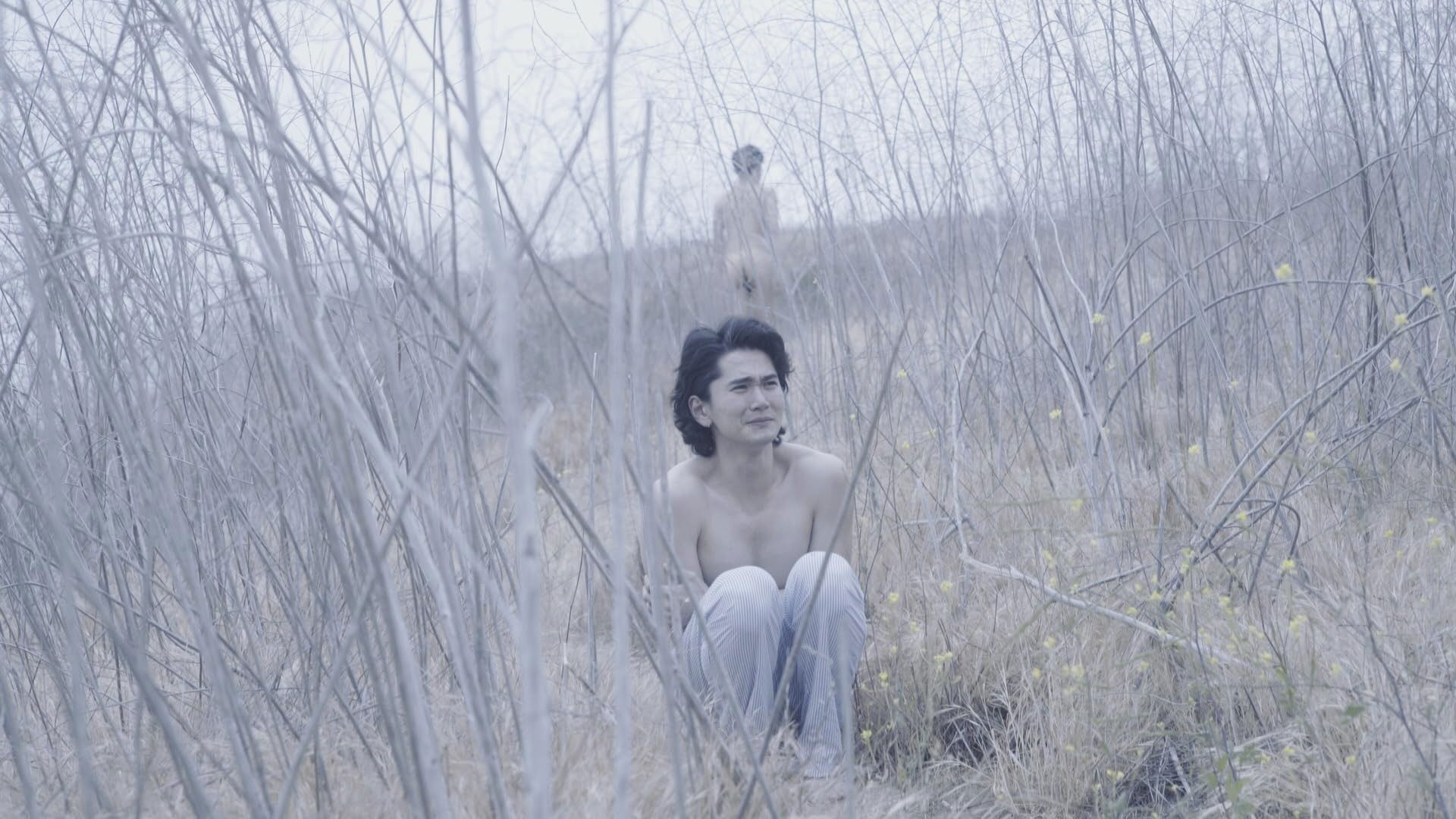 Backdrop for Wordless