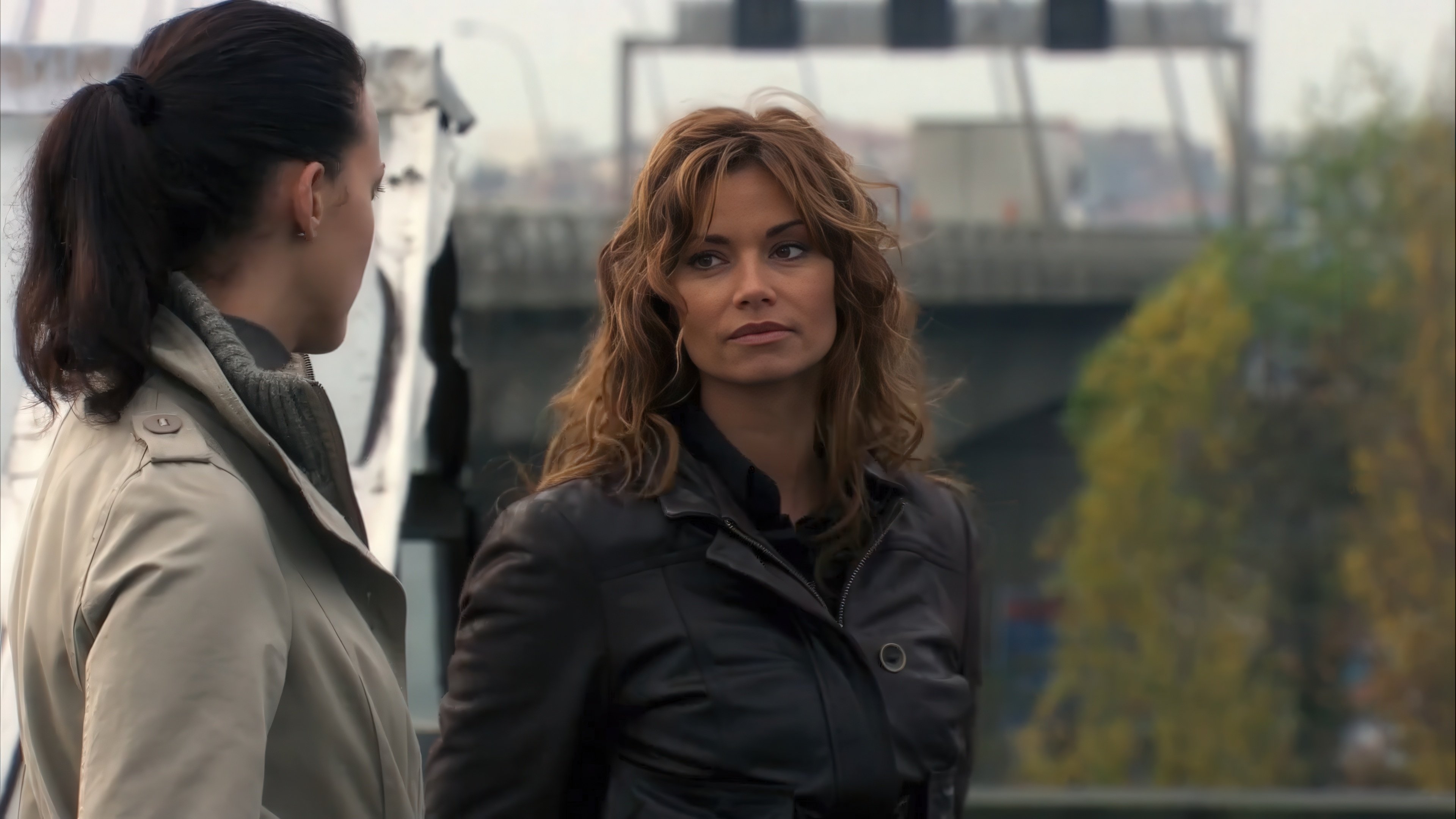 Backdrop for The Mole