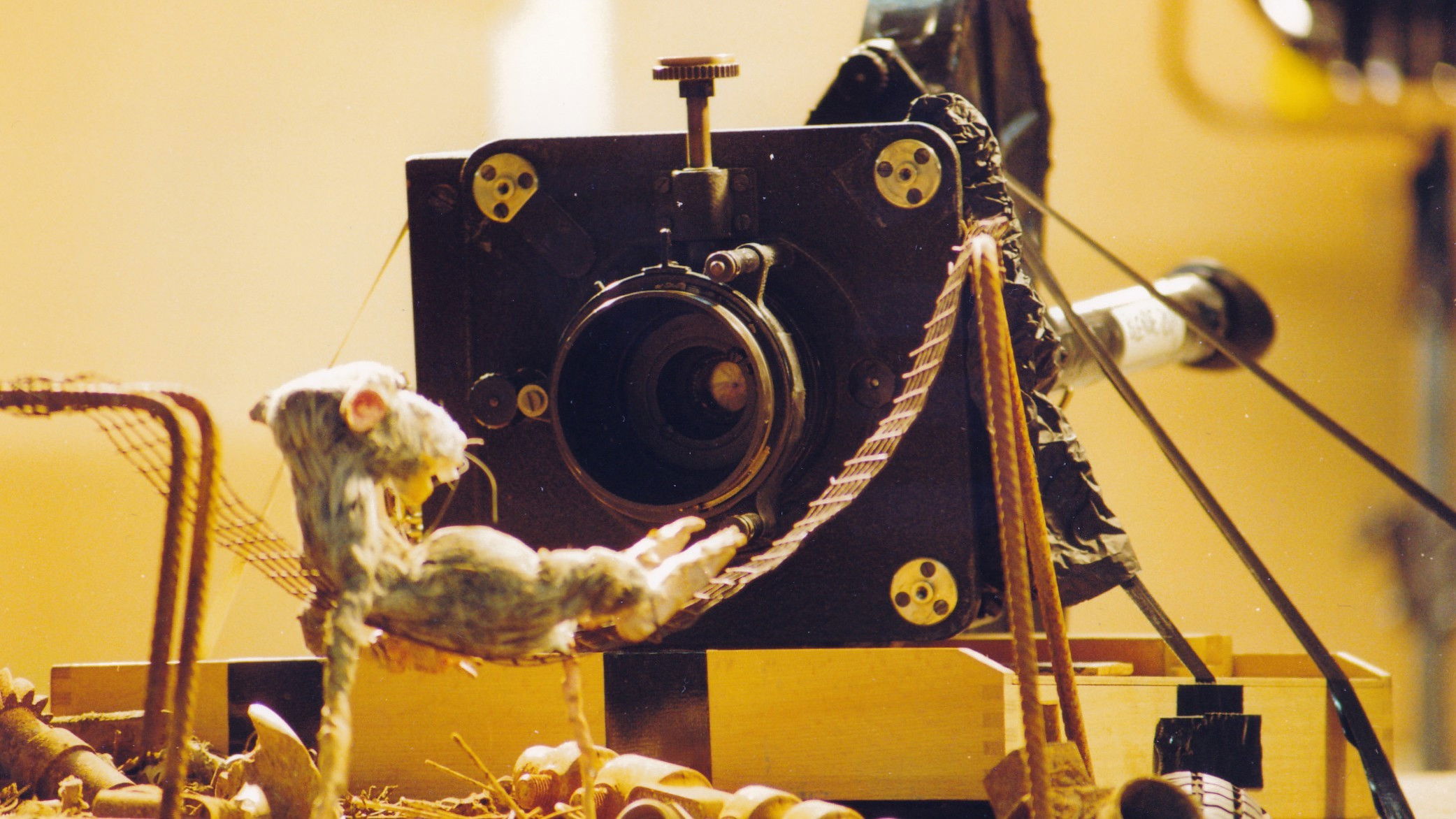 Backdrop for Terminal: Paradise