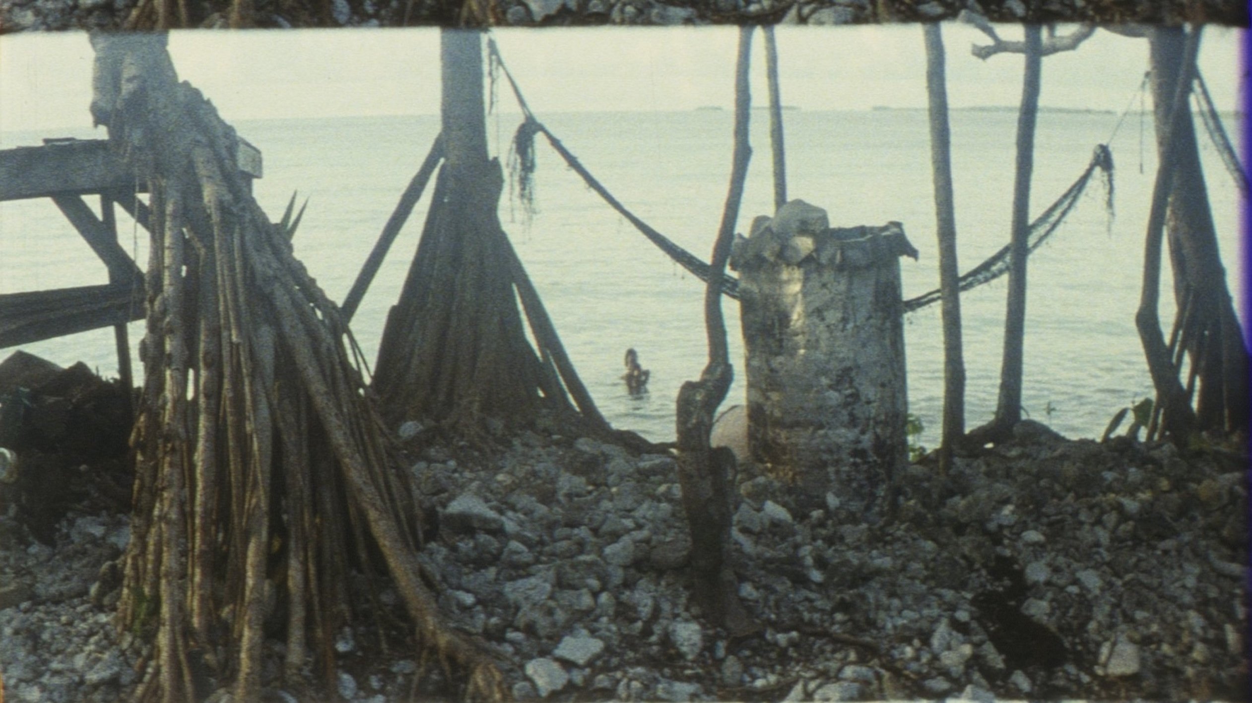 Backdrop for Slow Action