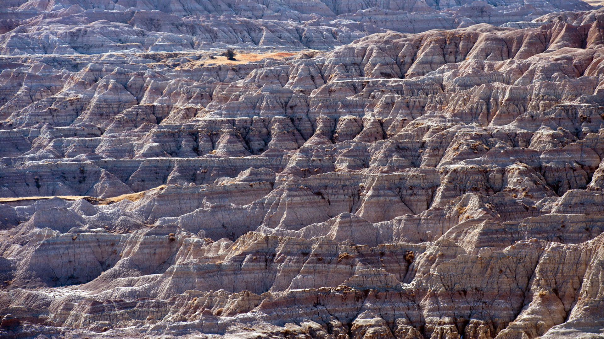 Backdrop for National Parks Exploration Series: The Black Hills and The Badlands - Gateway to the West