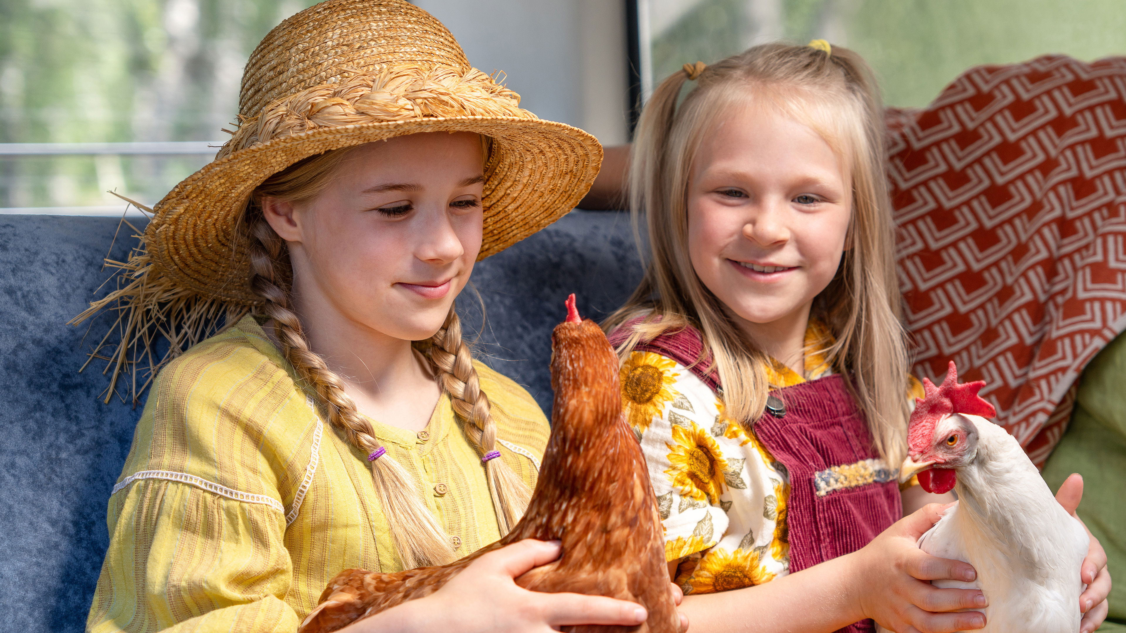 Backdrop for Hayflower, Quiltshoe and the Chicken