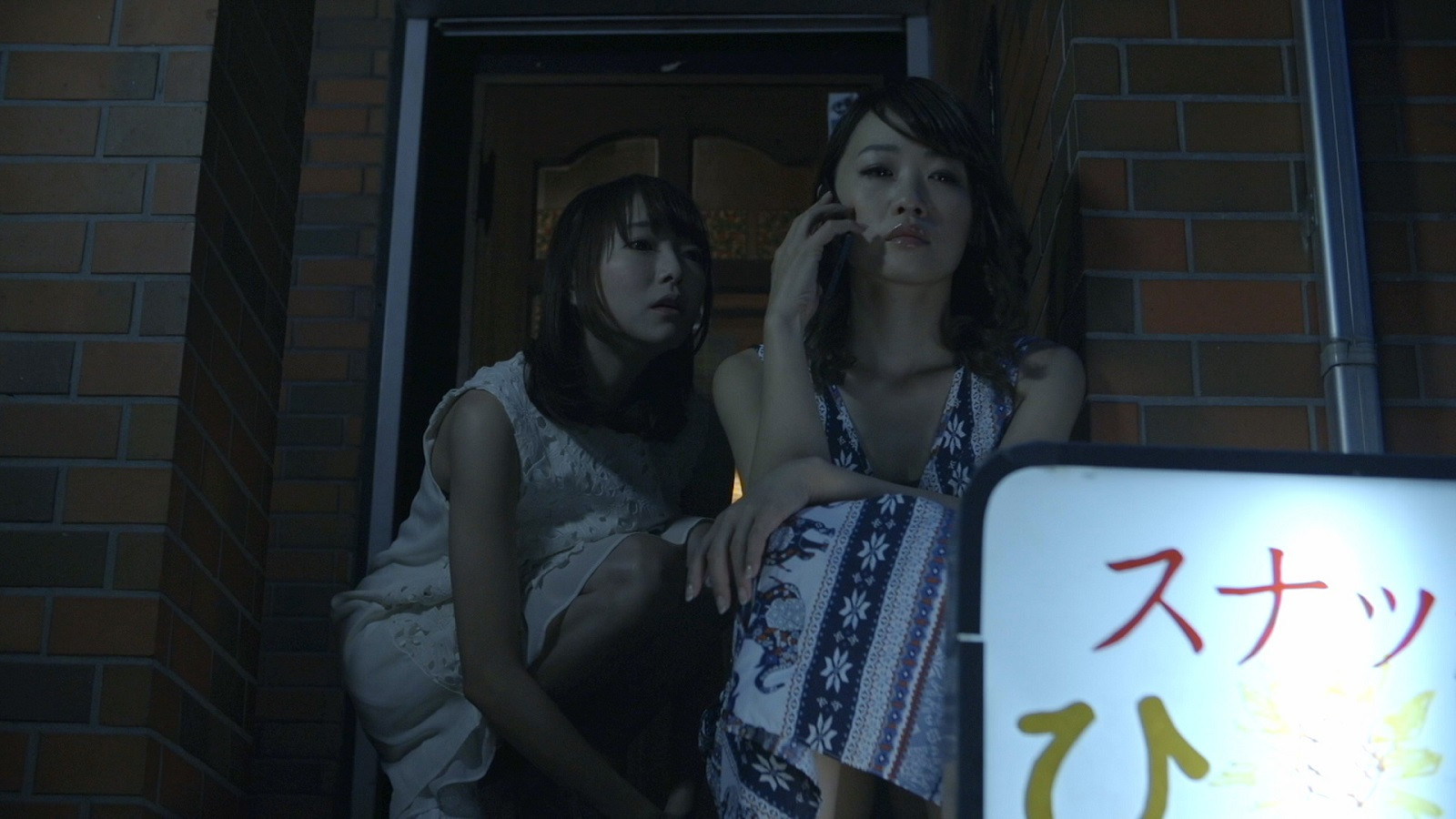 Backdrop for Sunflower Days