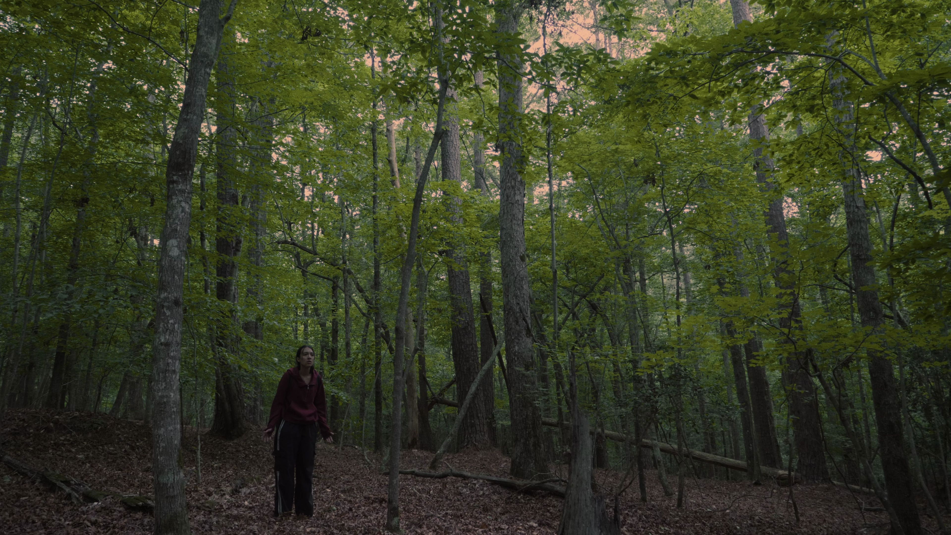 Backdrop for Echoes of the Absent