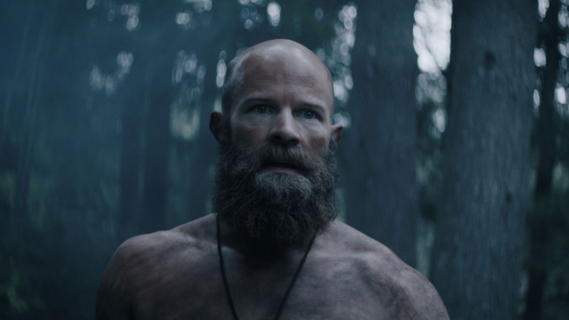 Backdrop for Outcast Forest