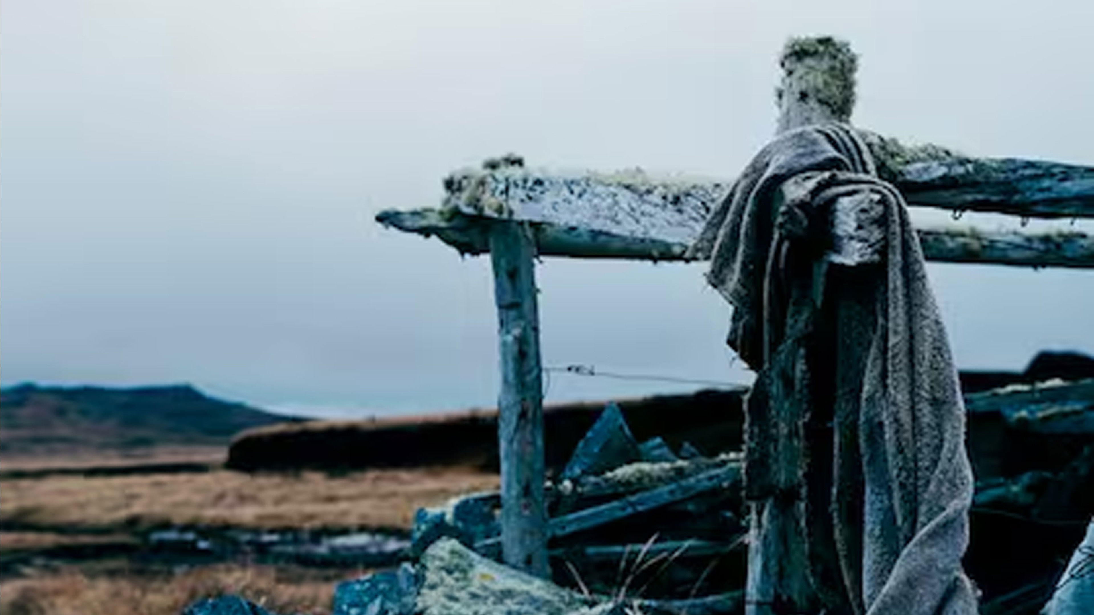 Backdrop for Buenas noches Malvinas