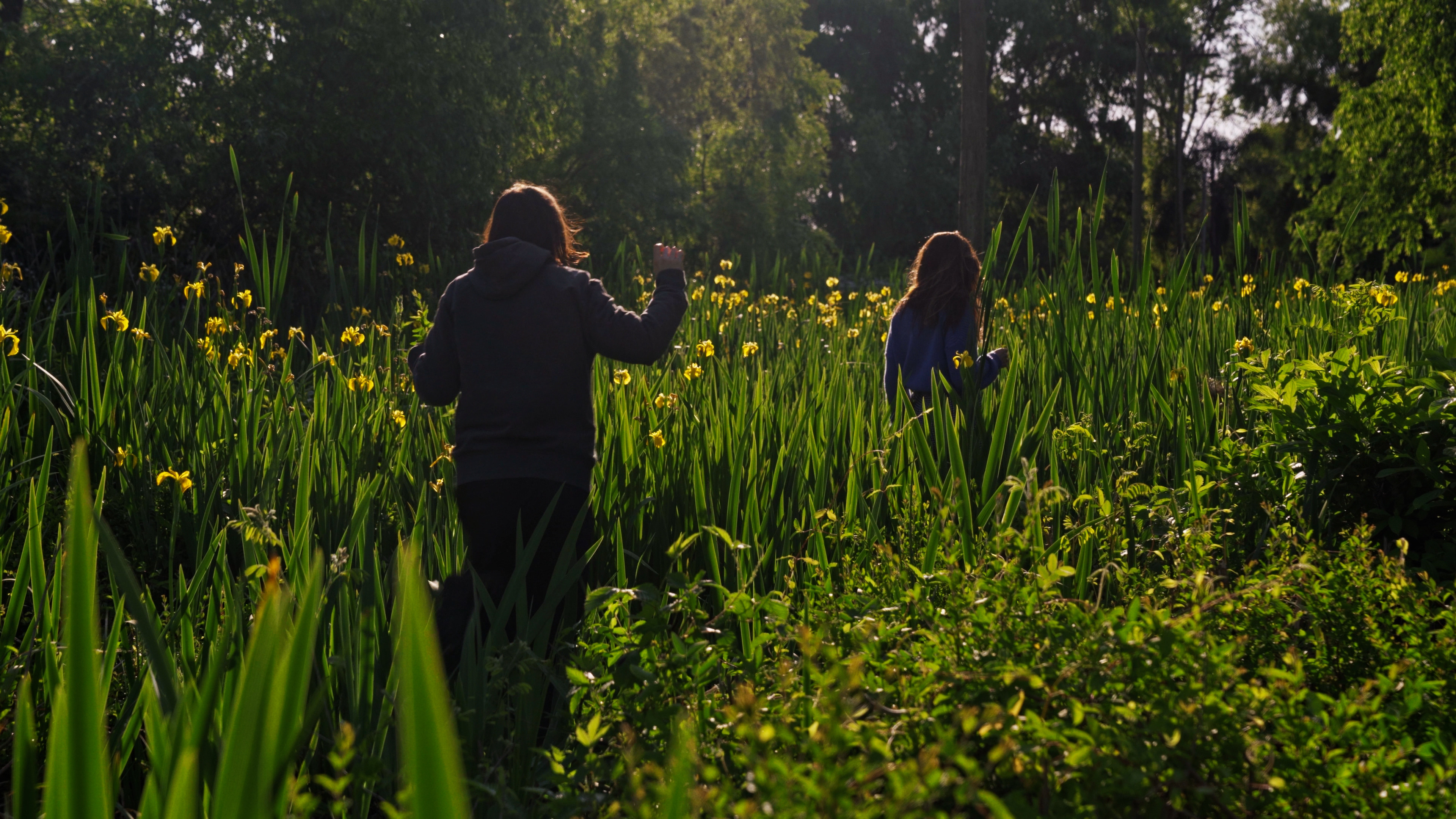 Backdrop for When the waters turn Magenta