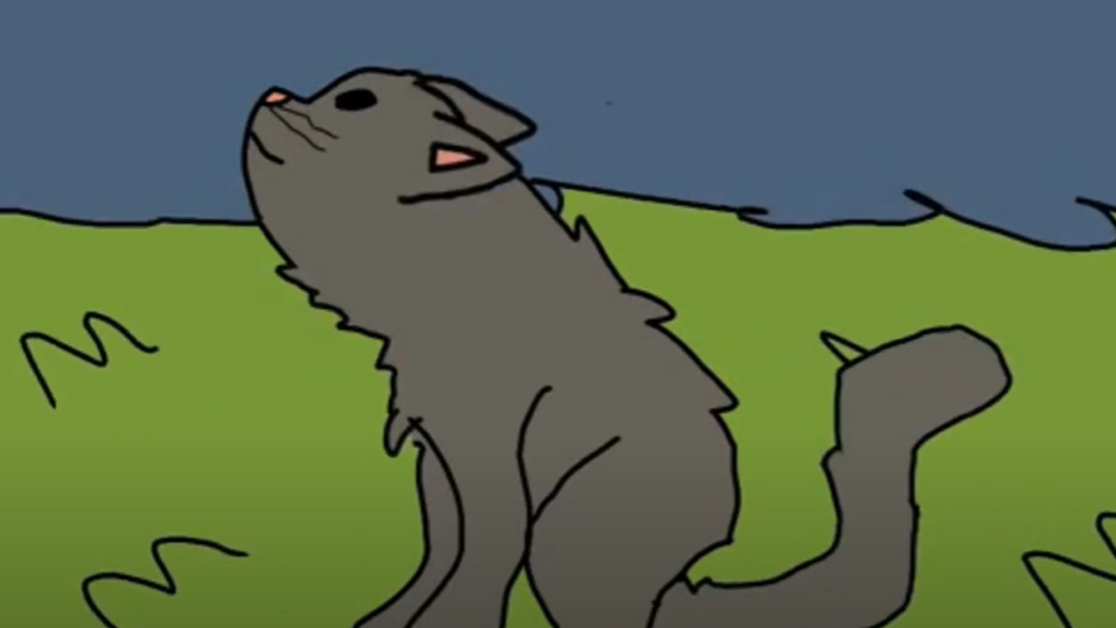 Backdrop for Black Paw