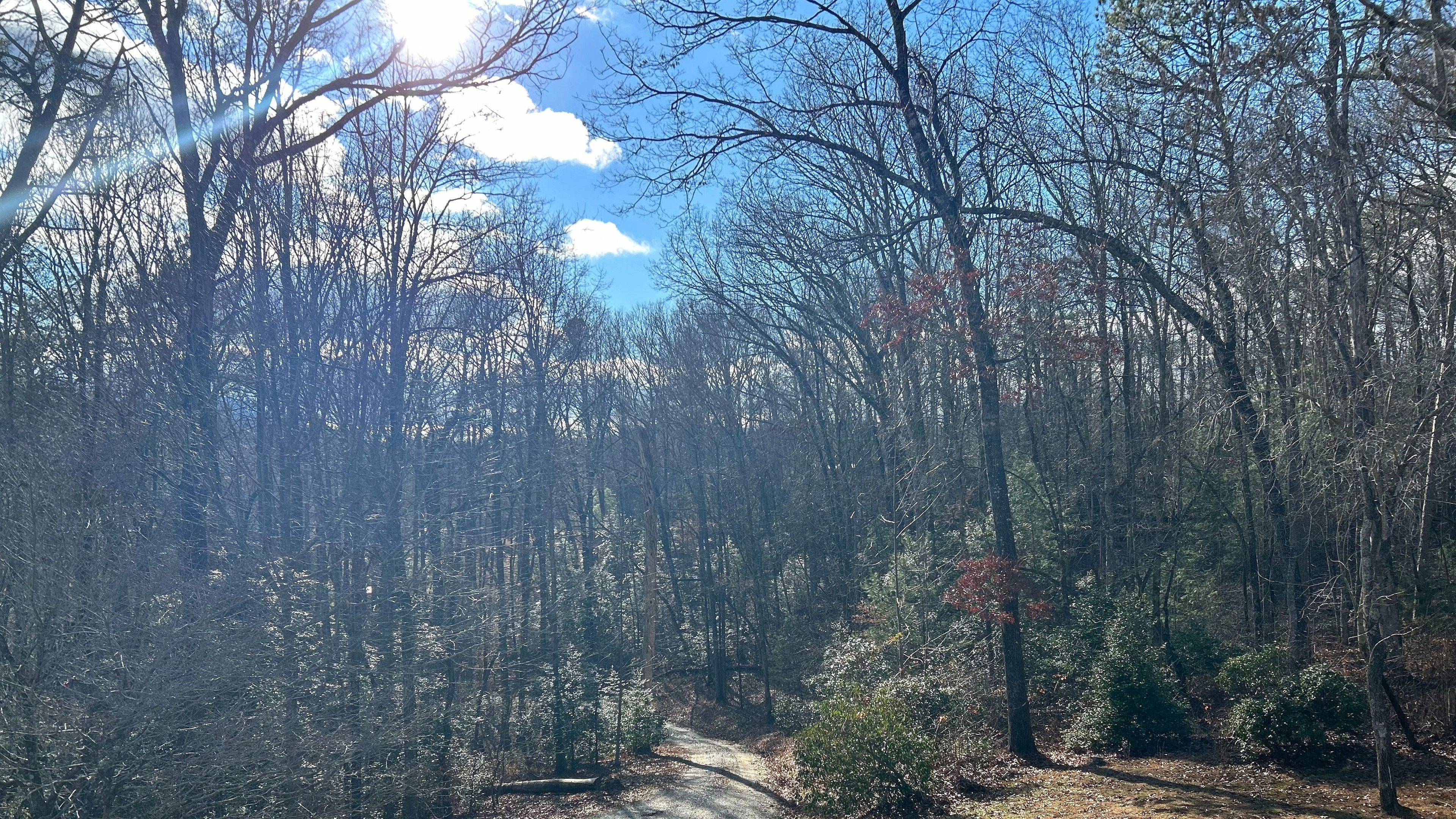 Backdrop for Clausible Deniability