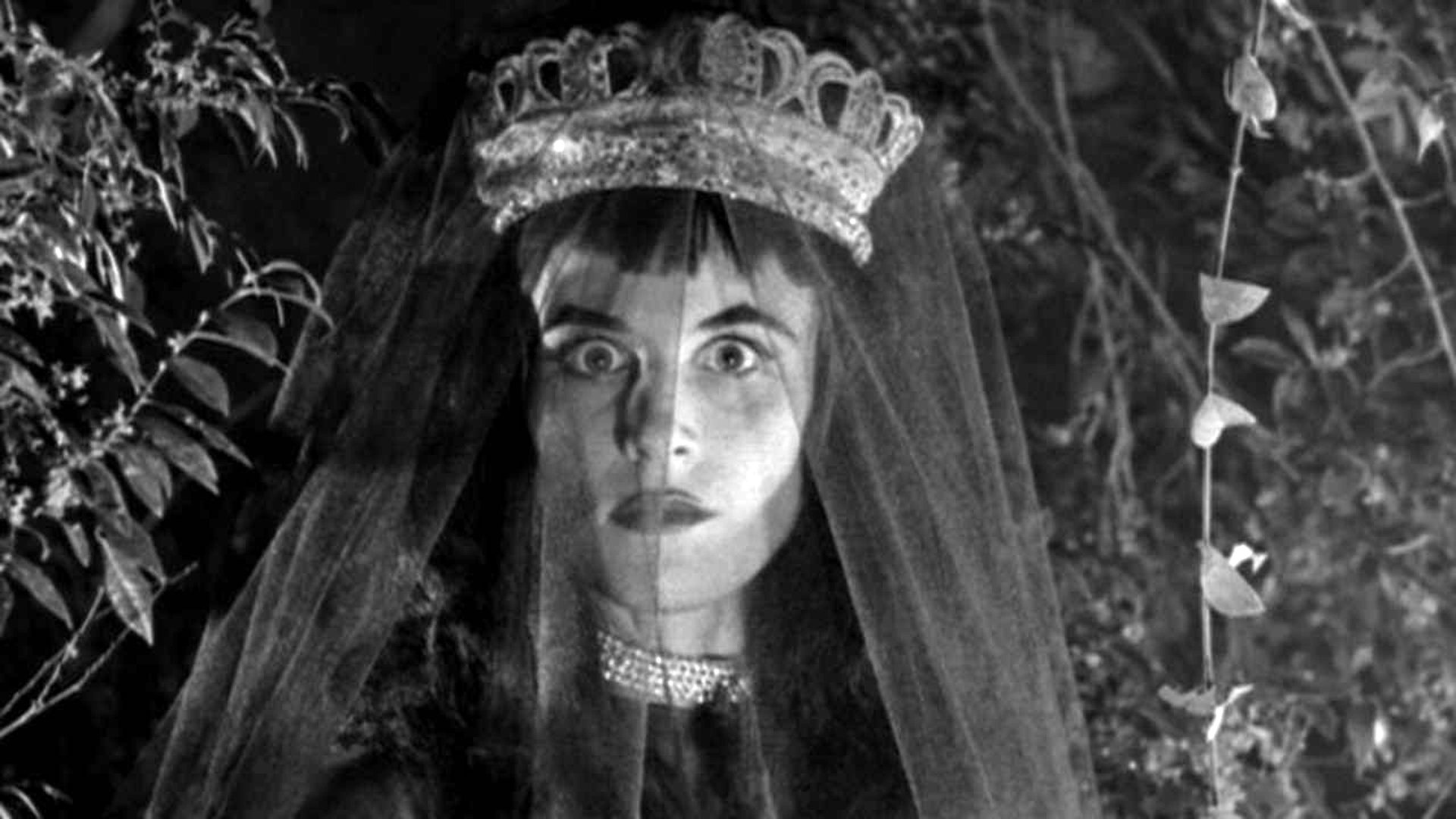 Backdrop for Revenge of the Dead