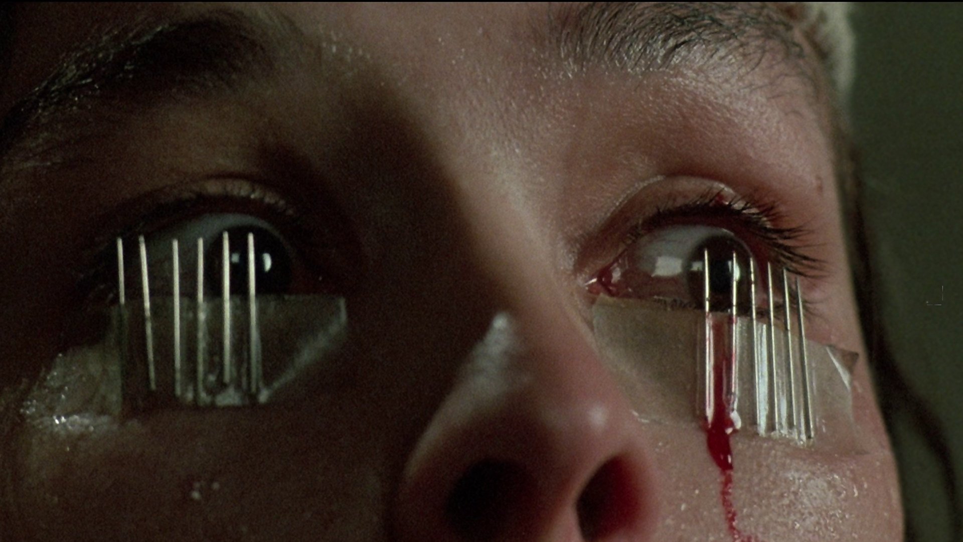 Backdrop for Dario Argento: An Eye for Horror