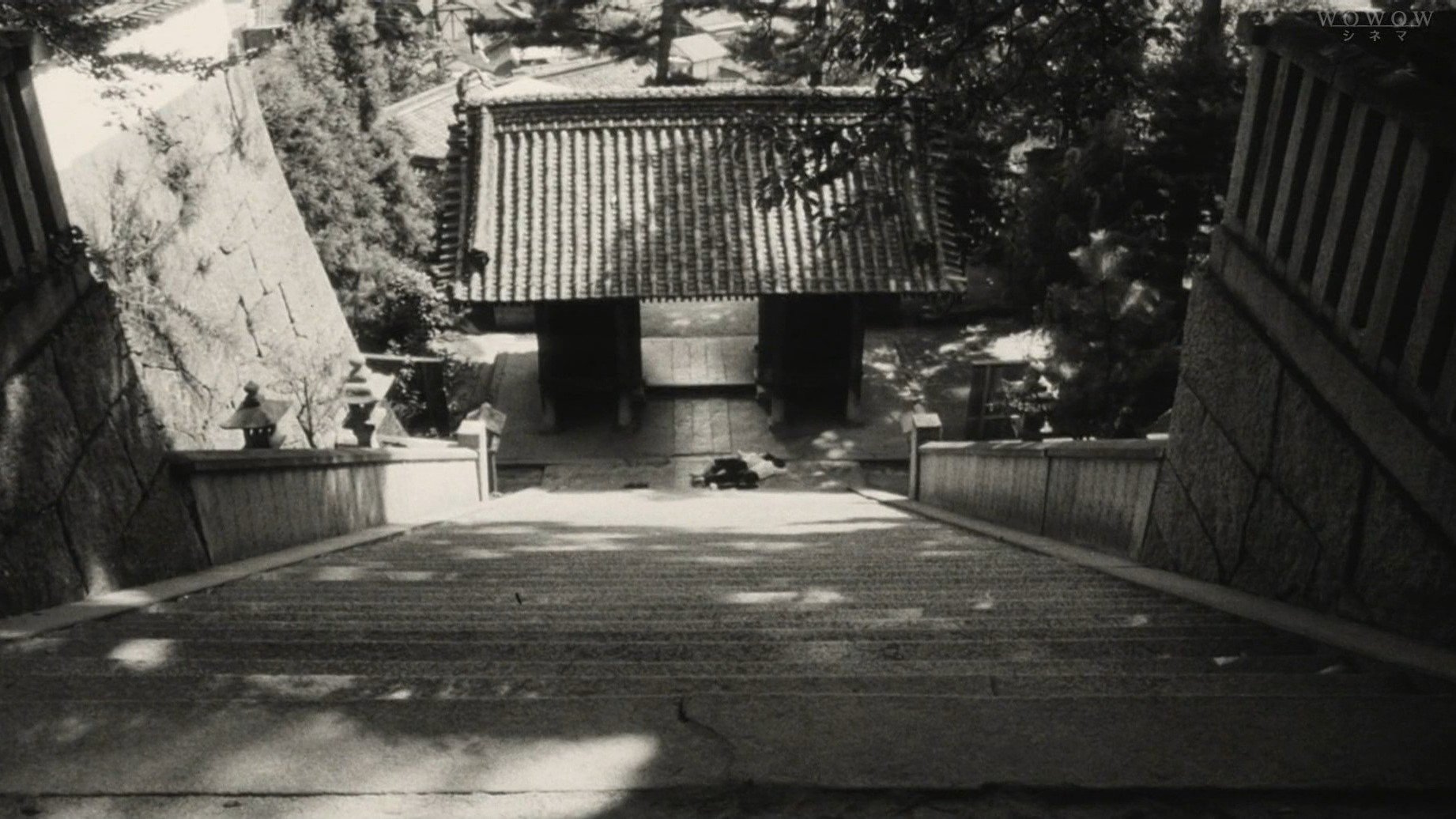 Backdrop for I Are You, You Am Me