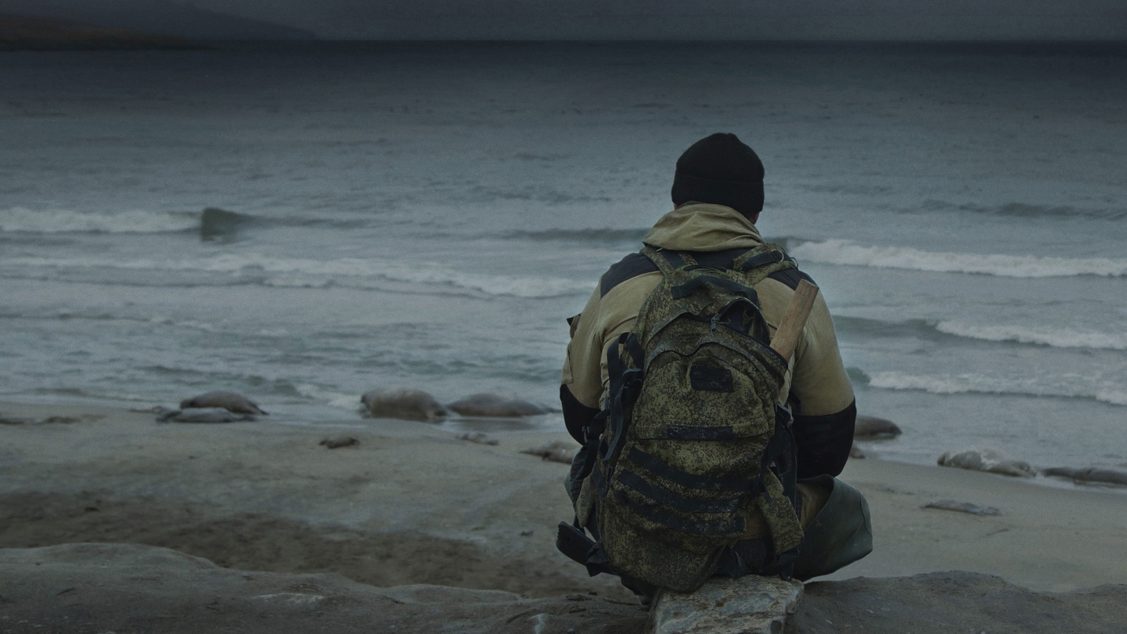 Backdrop for Haulout