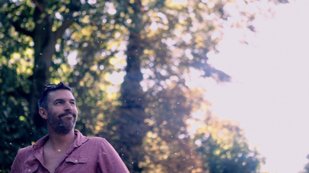 Backdrop for Layers of Reed