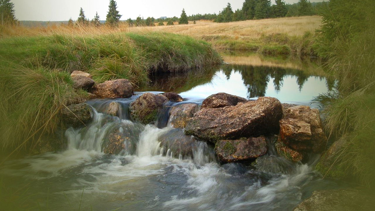 Backdrop for Tajný život skal