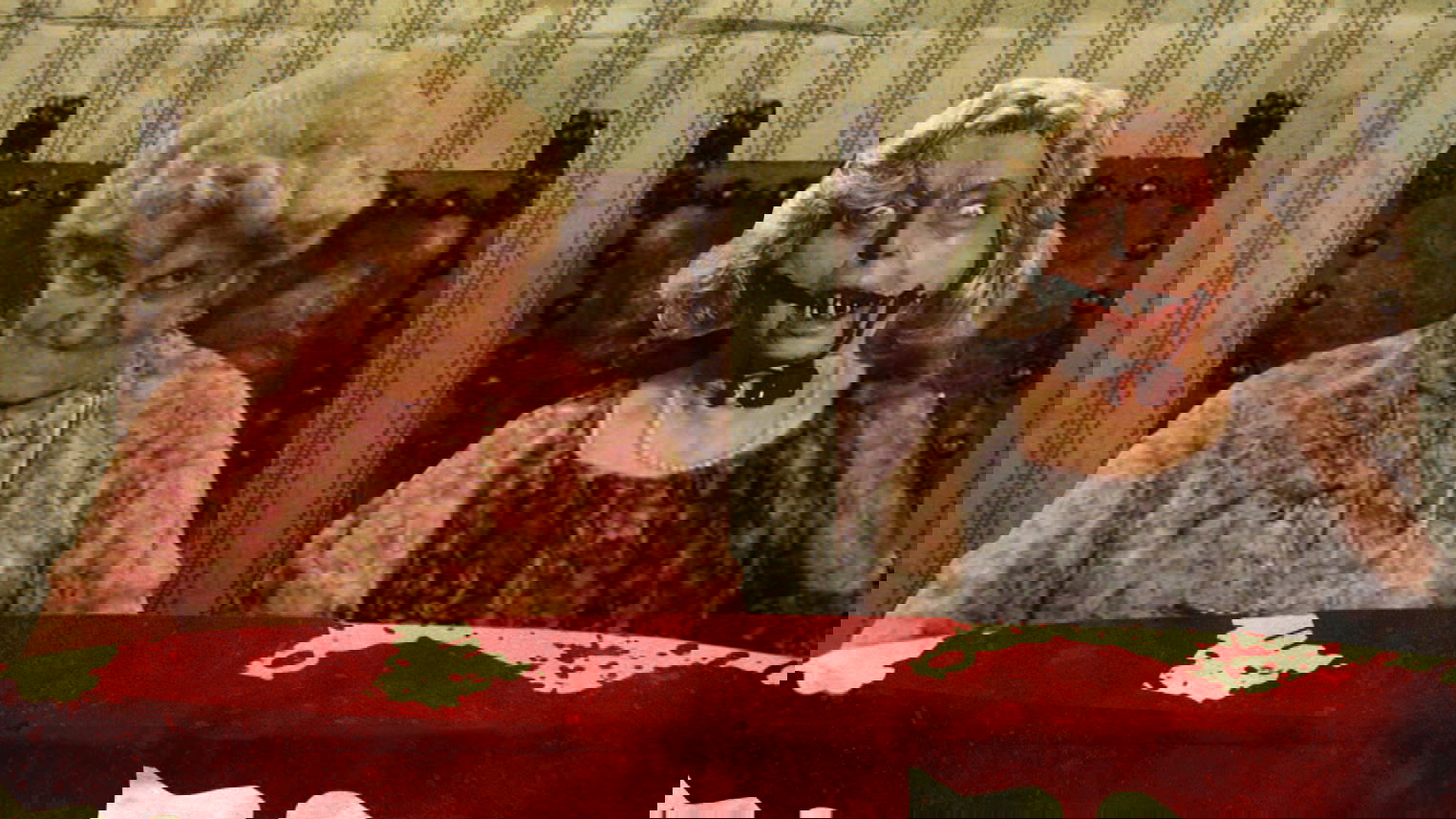 Backdrop for Rabid Grannies