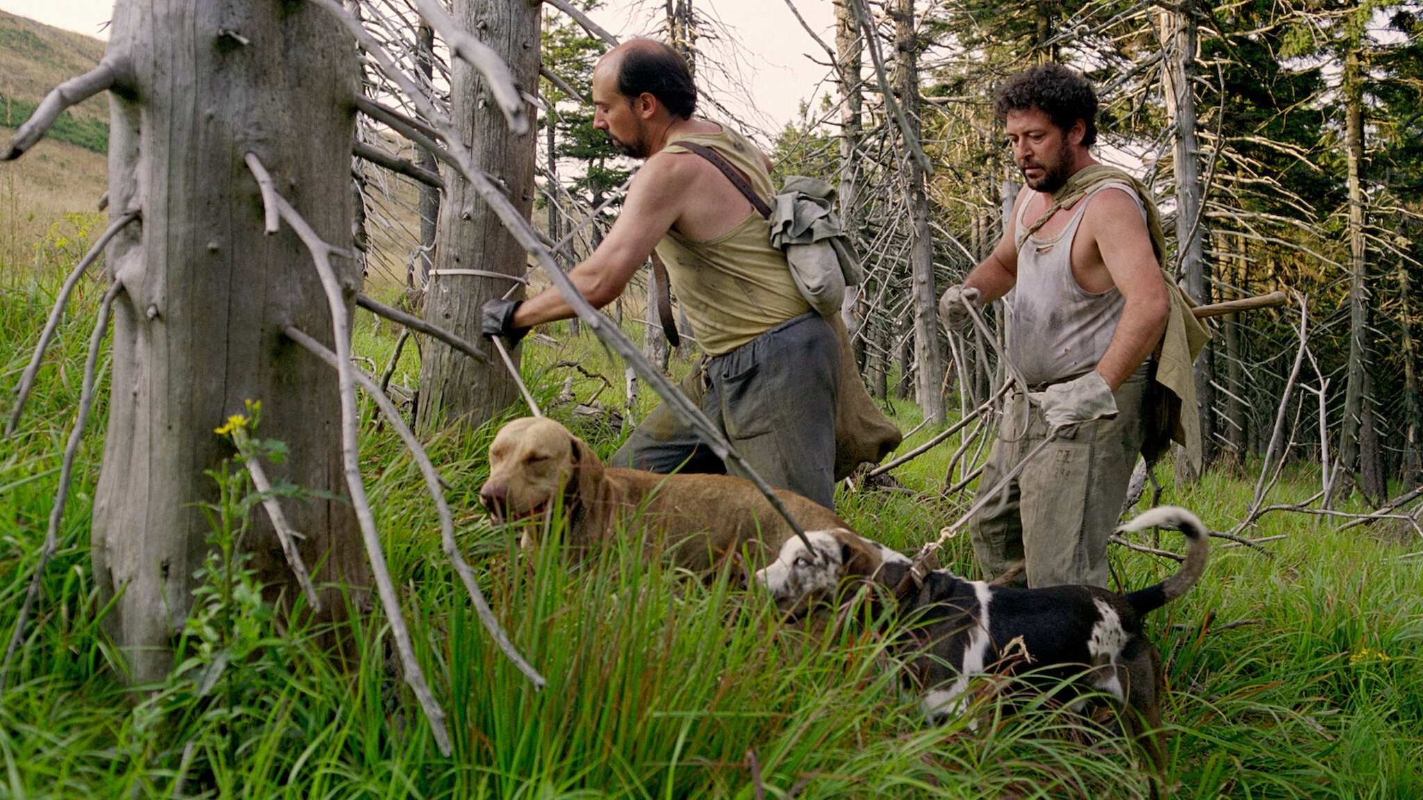 Backdrop for Vaterland: A Hunting Logbook
