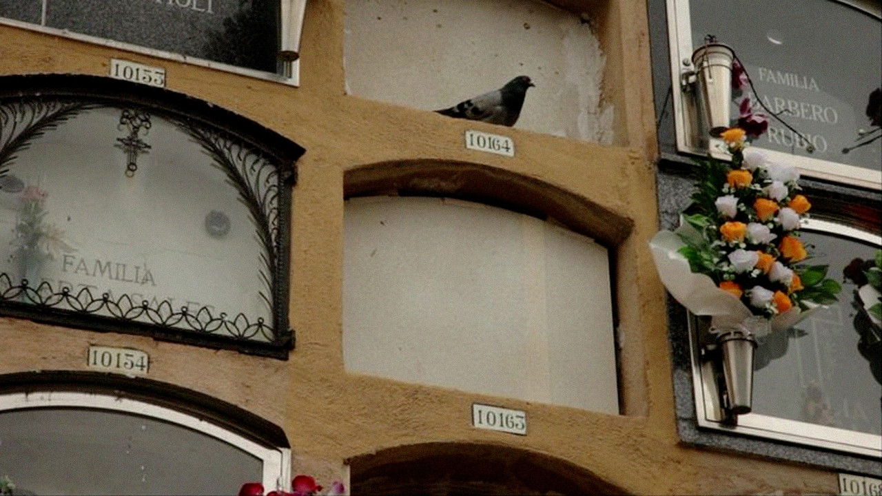 Backdrop for The Voice of Thaïs