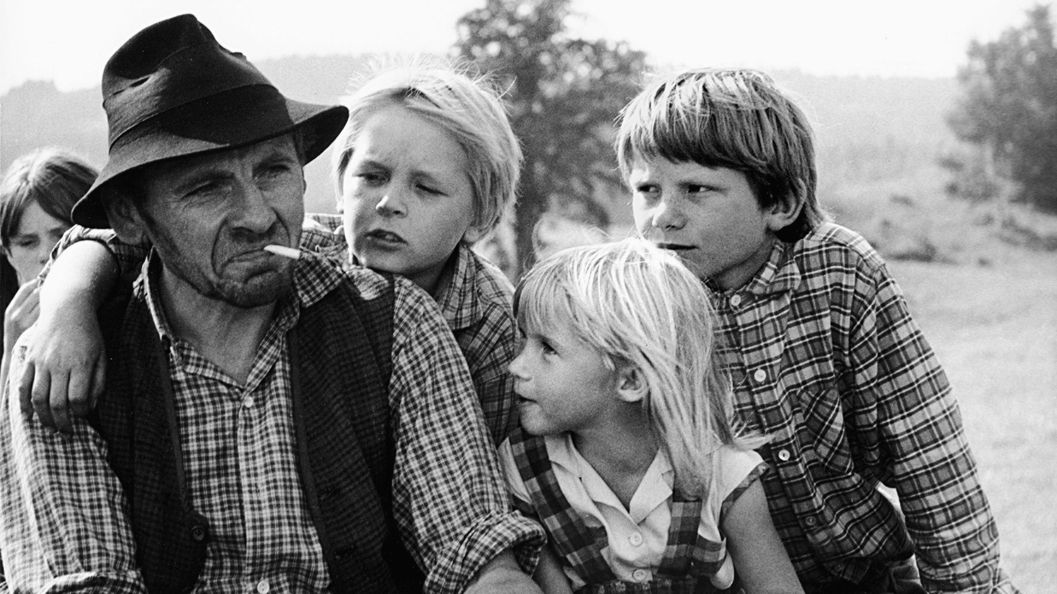 Backdrop for Toni, You're Crazy