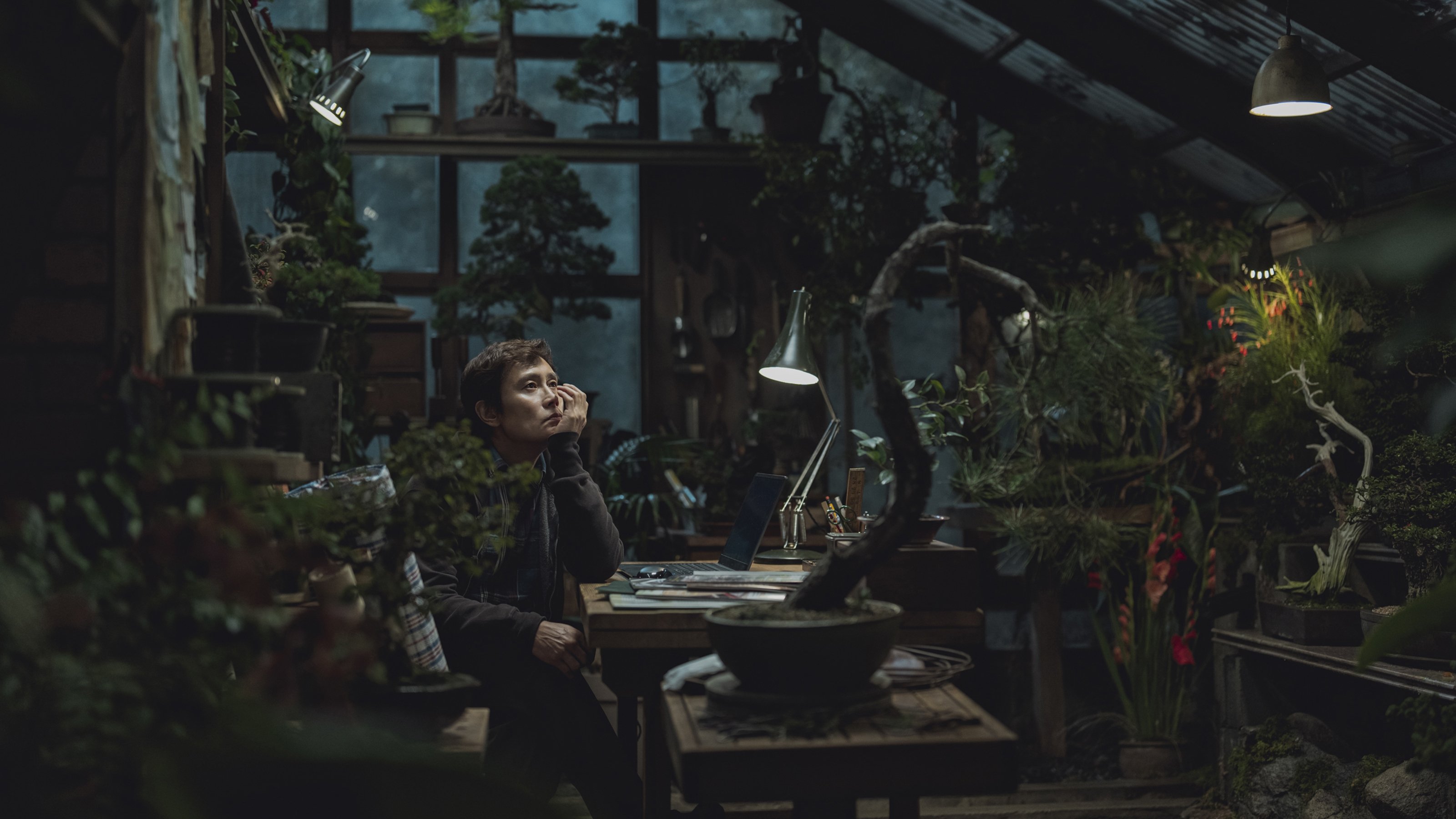 Backdrop for No Other Choice