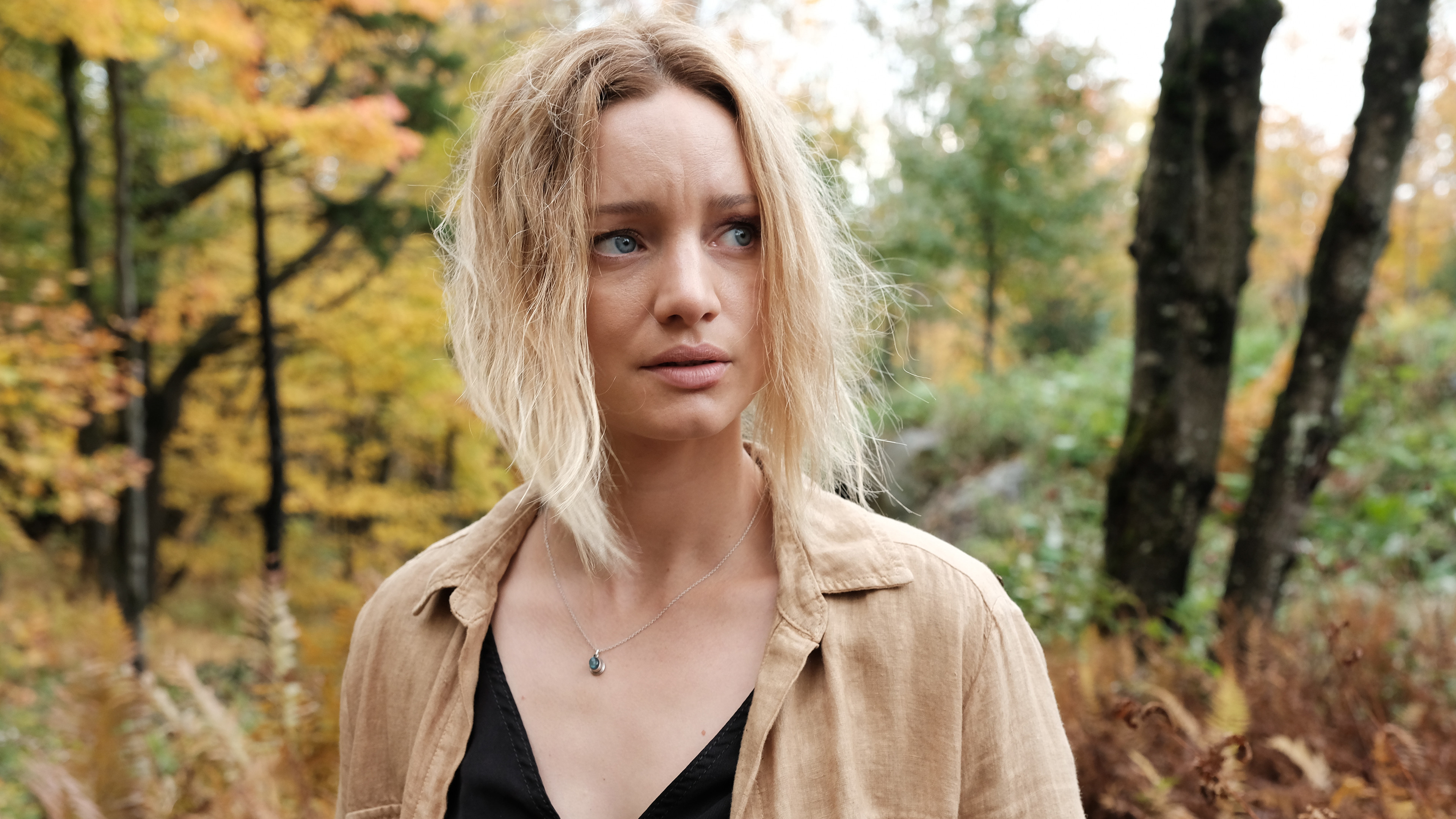 Backdrop for Mont Foster