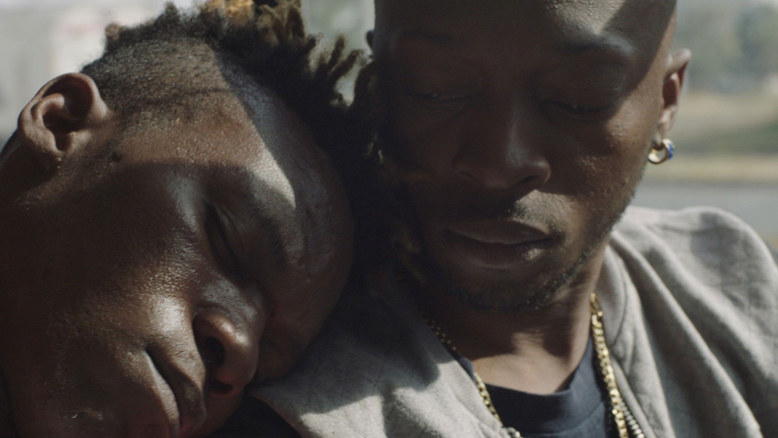 Backdrop for Red Ants Bite