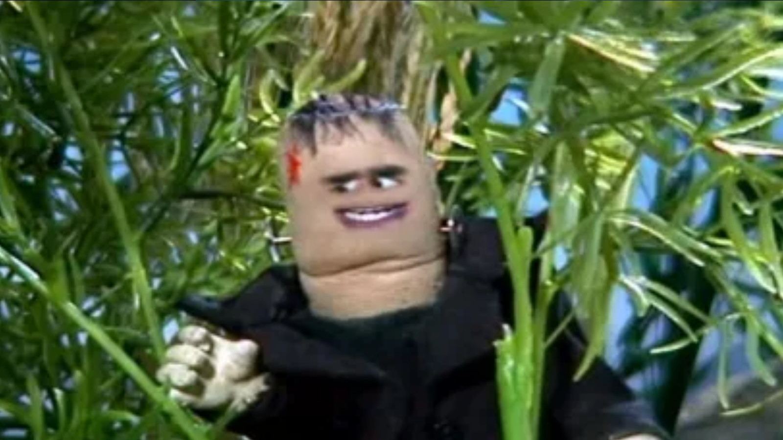 Backdrop for Frankenthumb