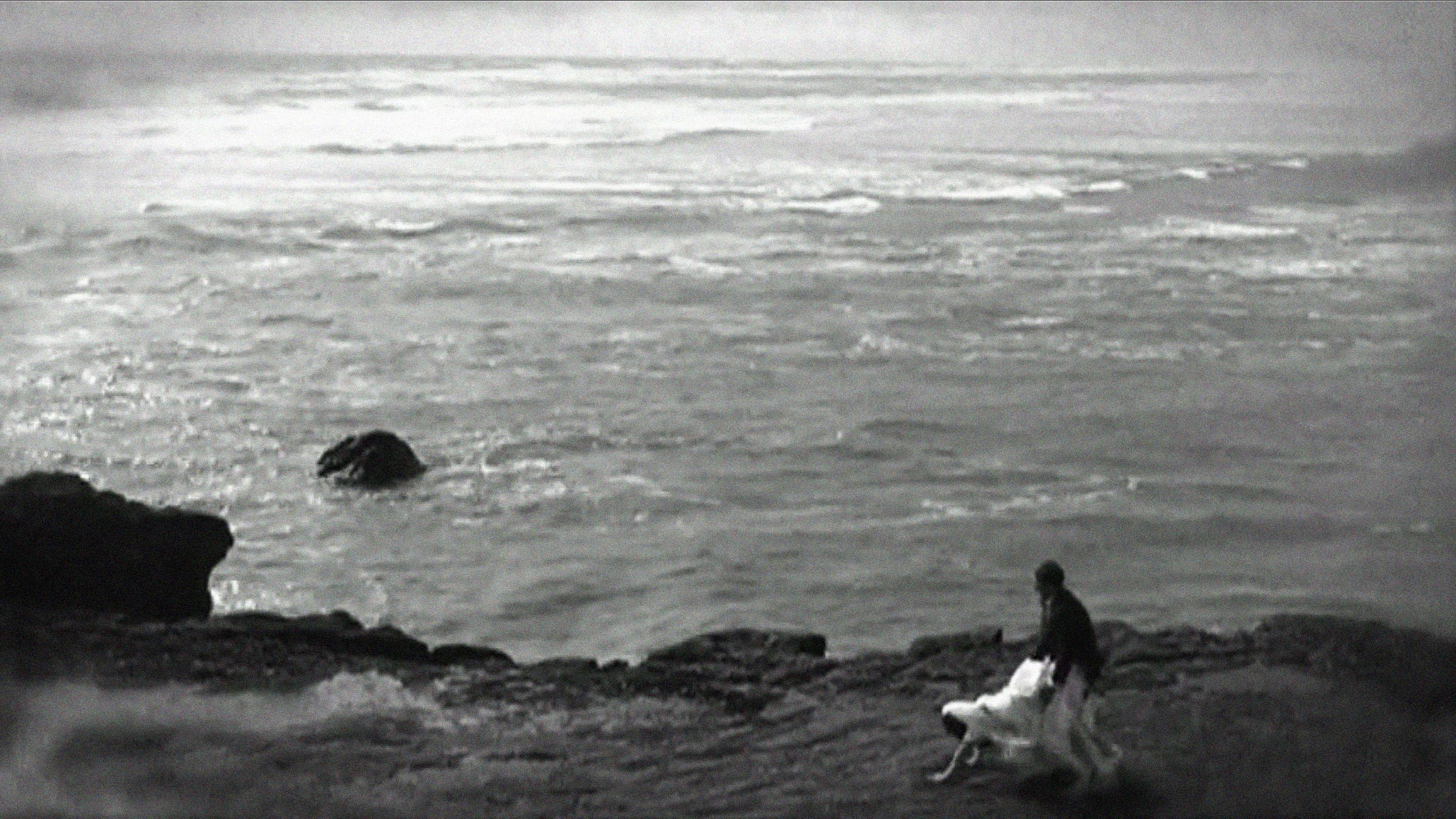 Backdrop for 42 One Dream Rush