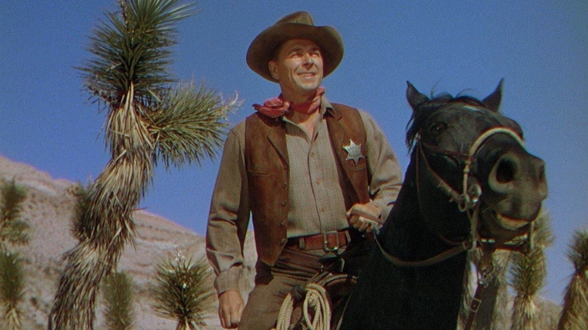 Backdrop for Law and Order