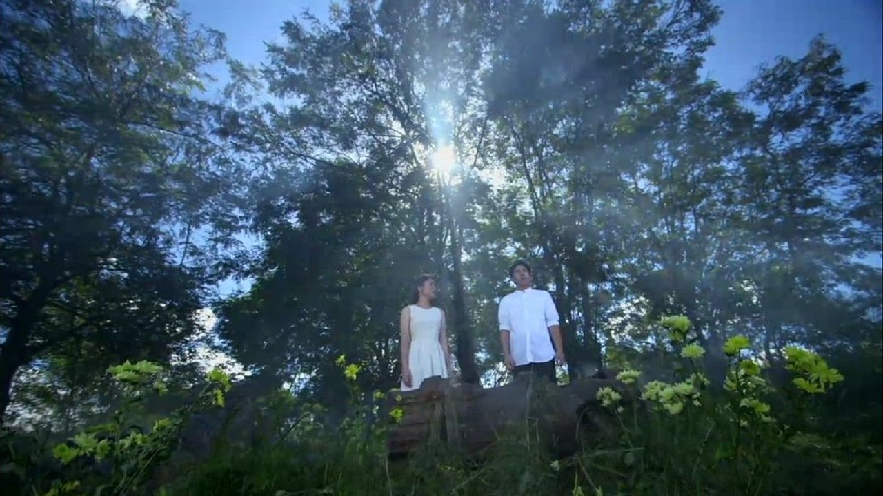 Backdrop for The Gift