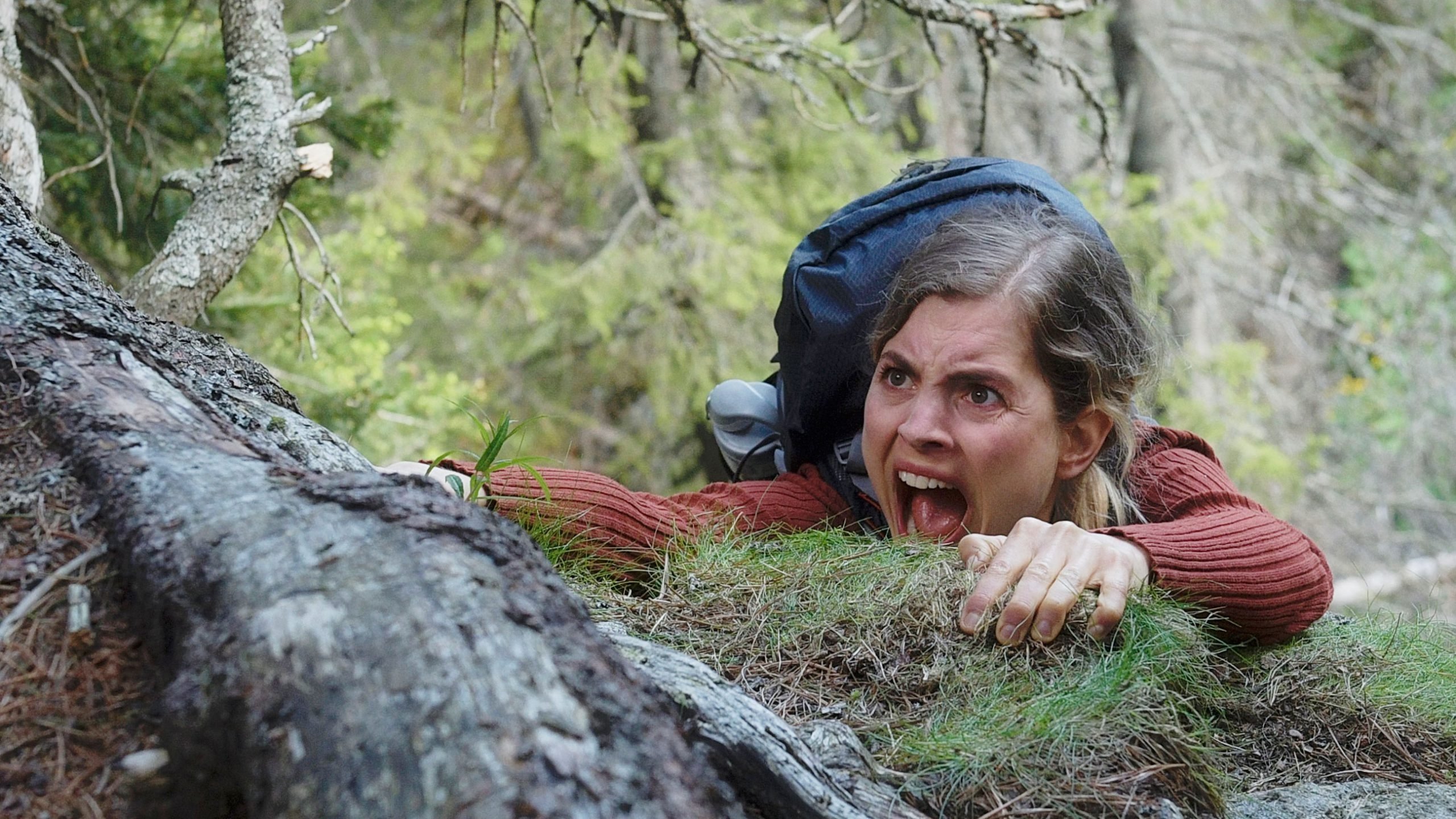 Backdrop for Magic Mountains