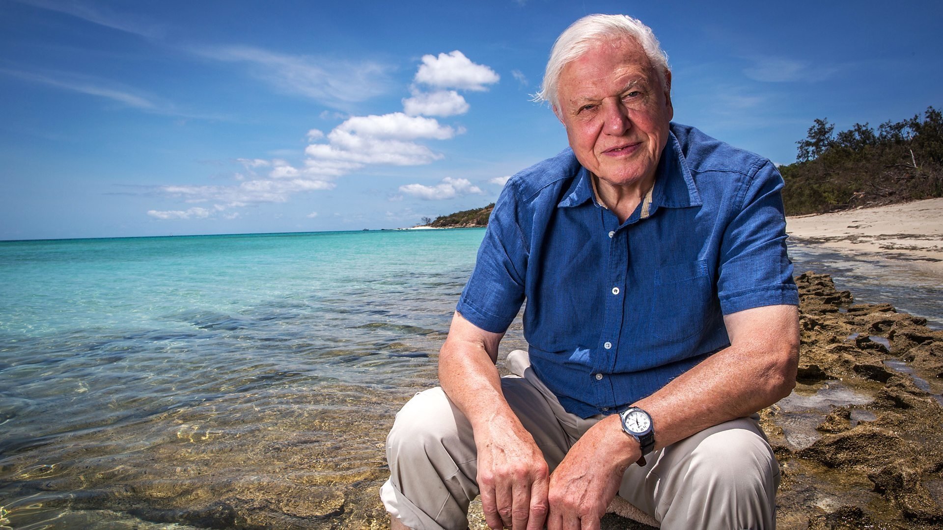 Backdrop for Great Barrier Reef with David Attenborough