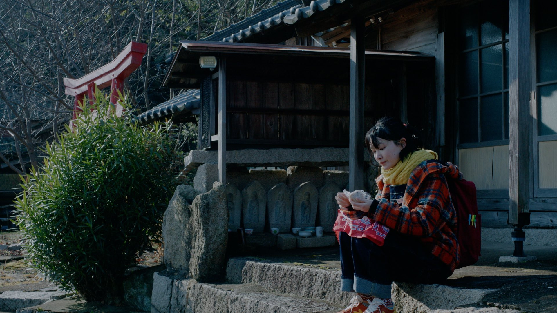 Backdrop for Inujima Inuko