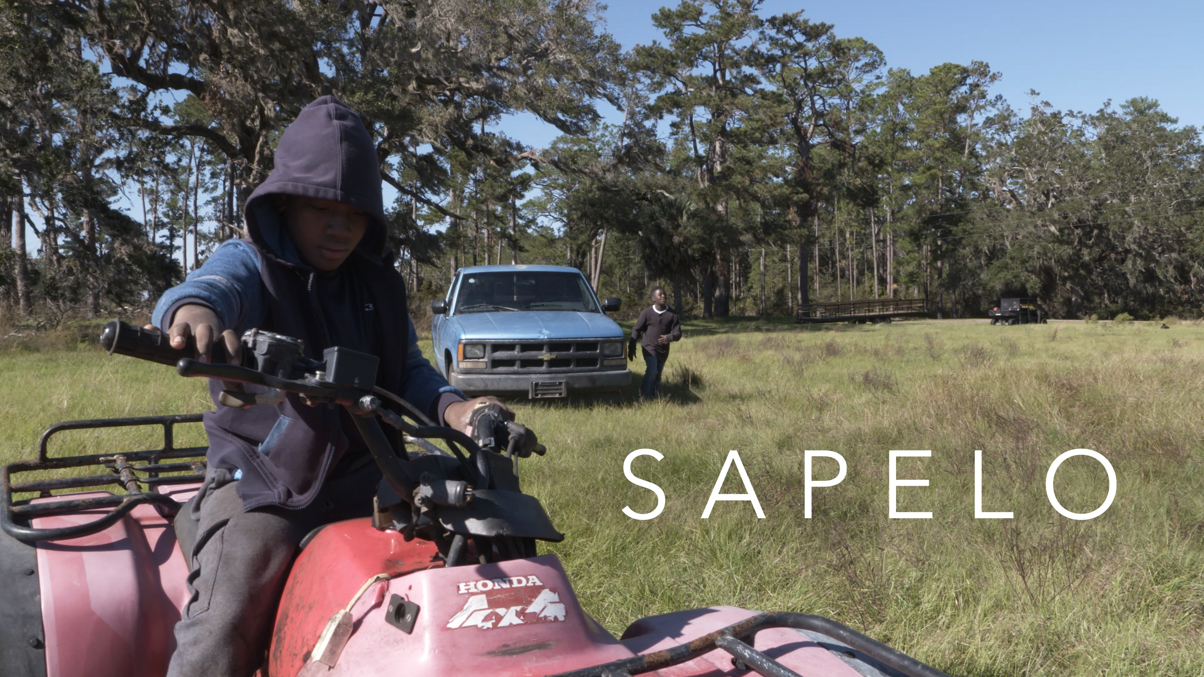 Backdrop for Sapelo