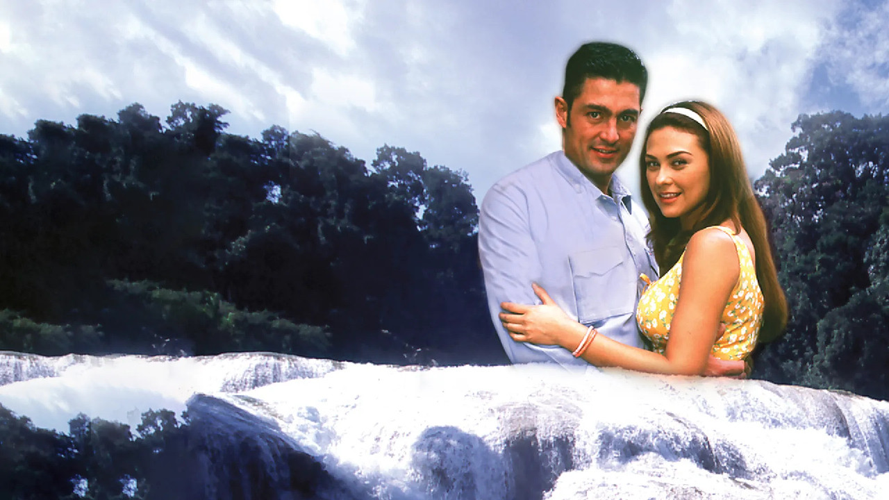 Backdrop for Embrace Me Tightly