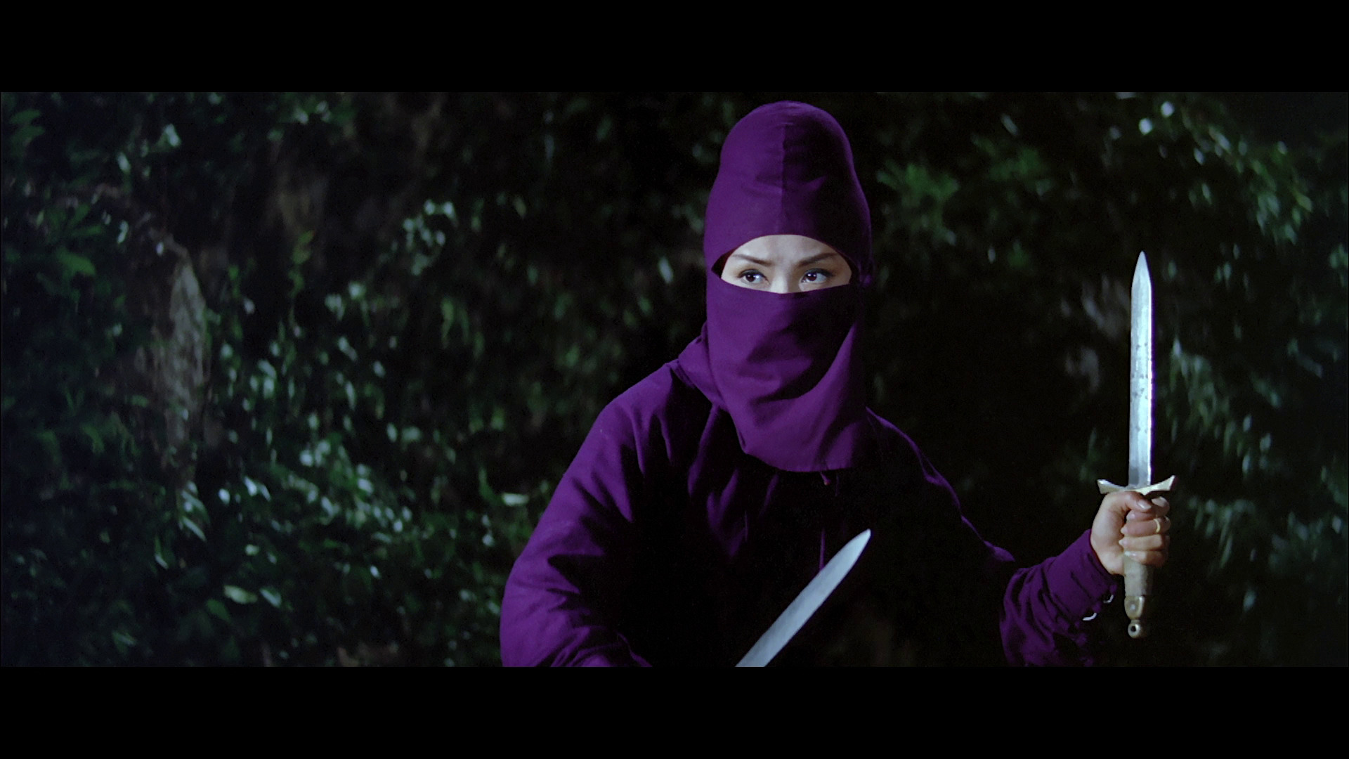 Backdrop for Black Butterfly