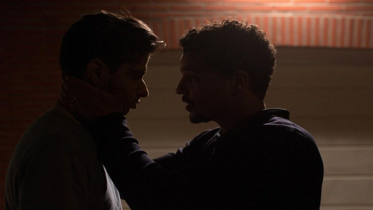 Backdrop for Animals