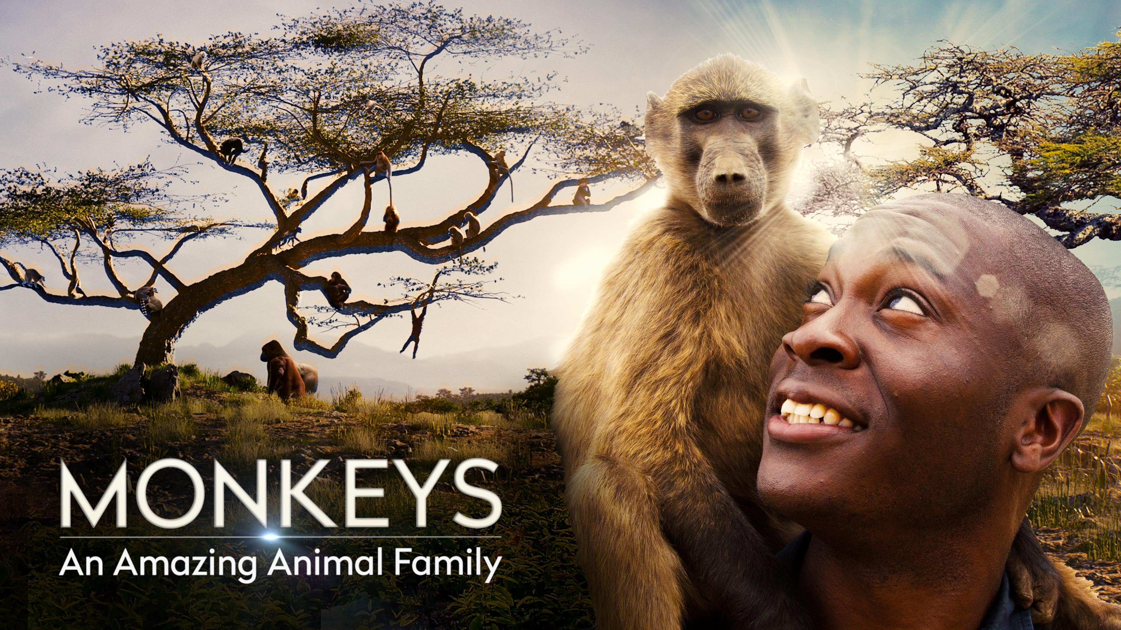 Backdrop for Monkeys: An Amazing Animal Family