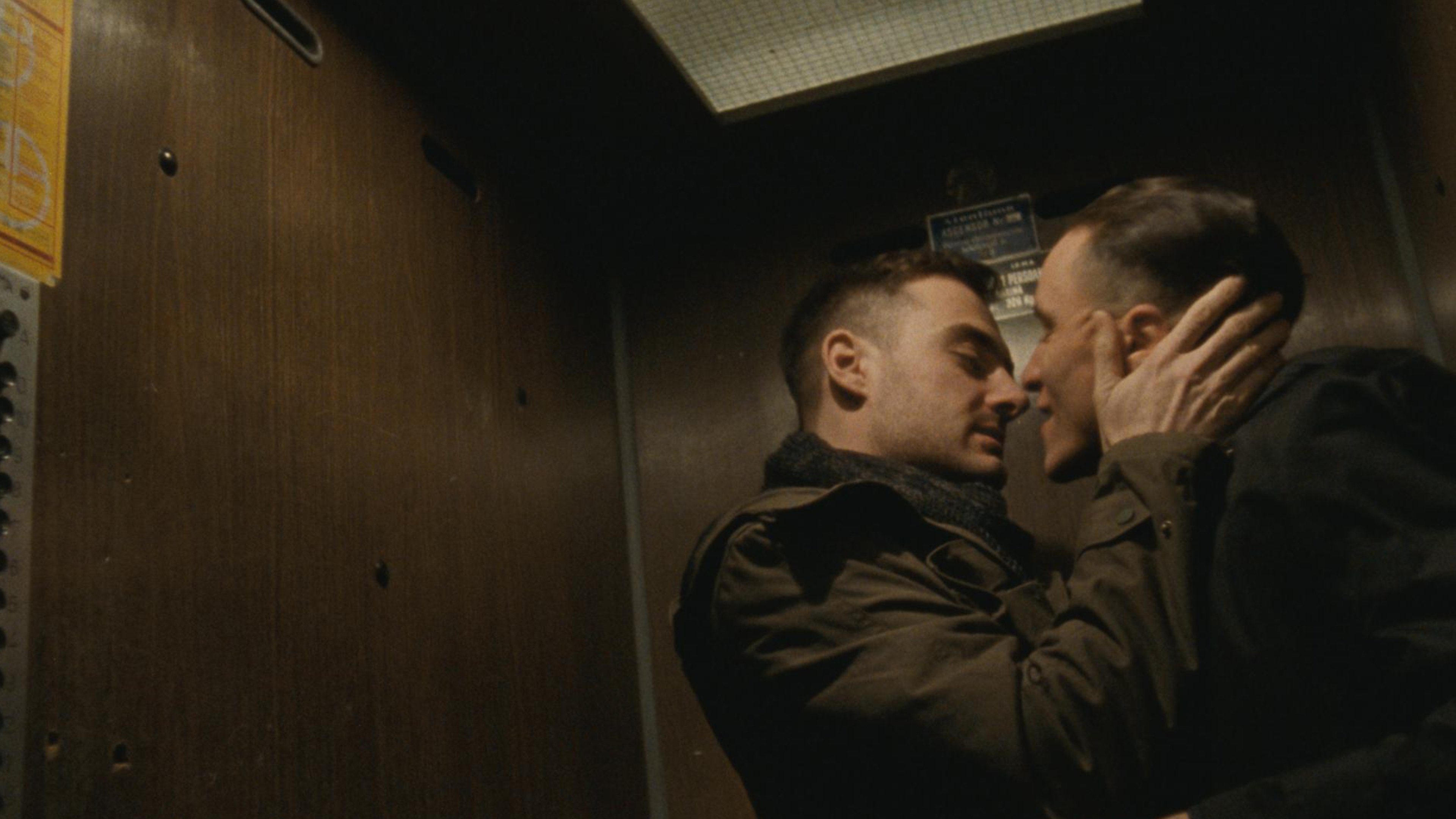 Backdrop for Poppy Field