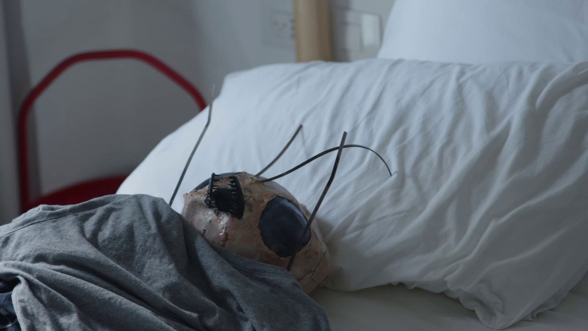 Backdrop for If I Was a Bug