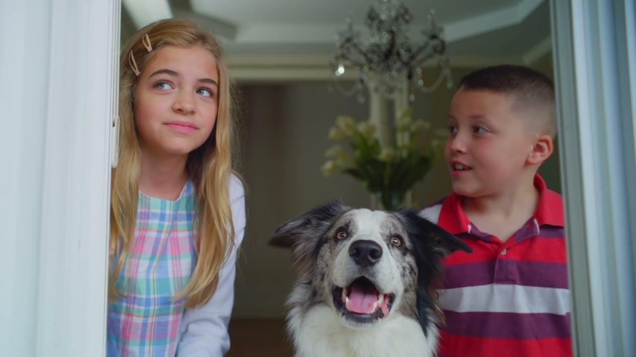 Backdrop for Junkyard Dogs