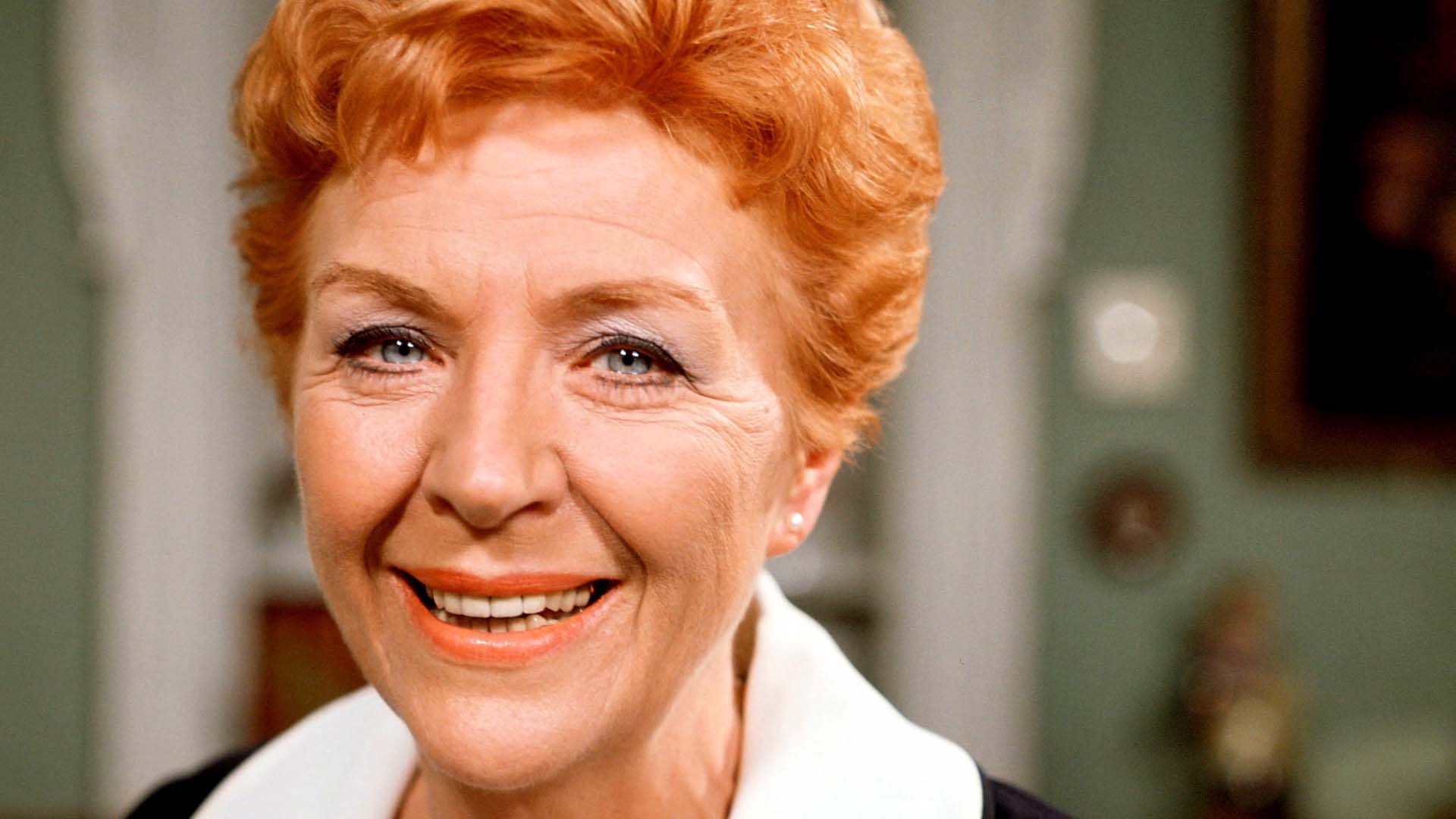 Backdrop for The Real Nolly